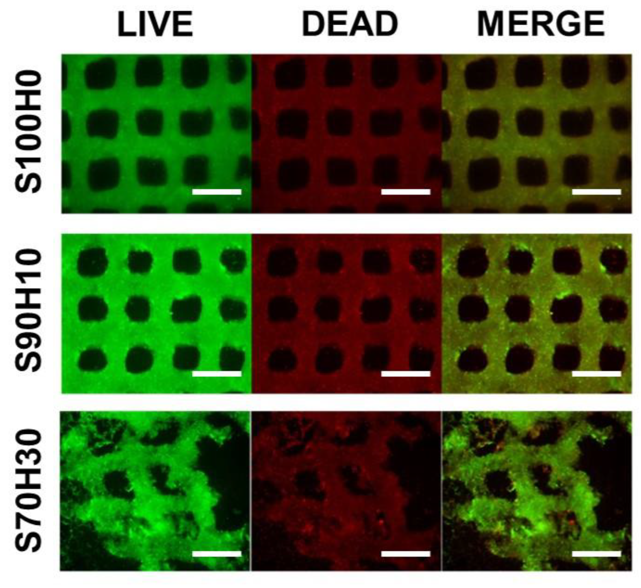 Polymers 13 00794 g006 Polymers 13 00794 g006
