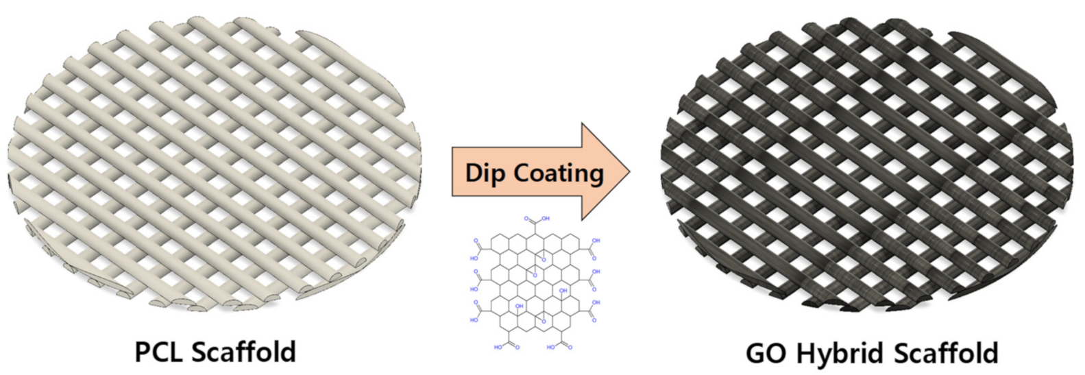 Polymers 13 00797 g001