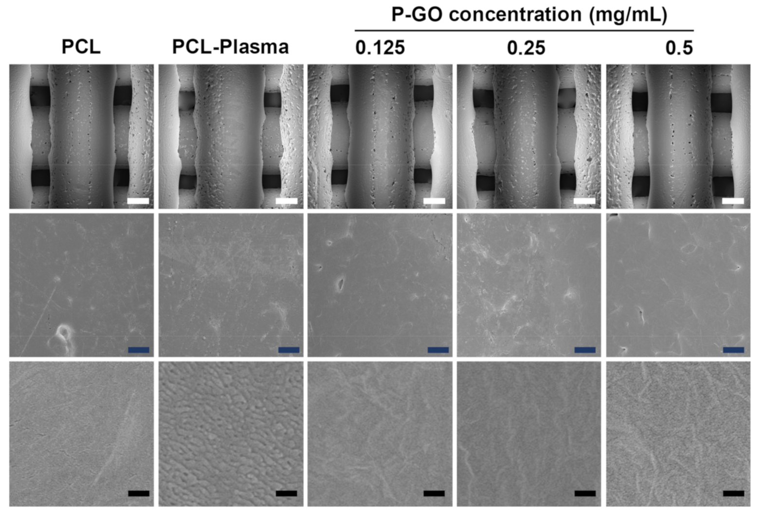 Polymers 13 00797 g004