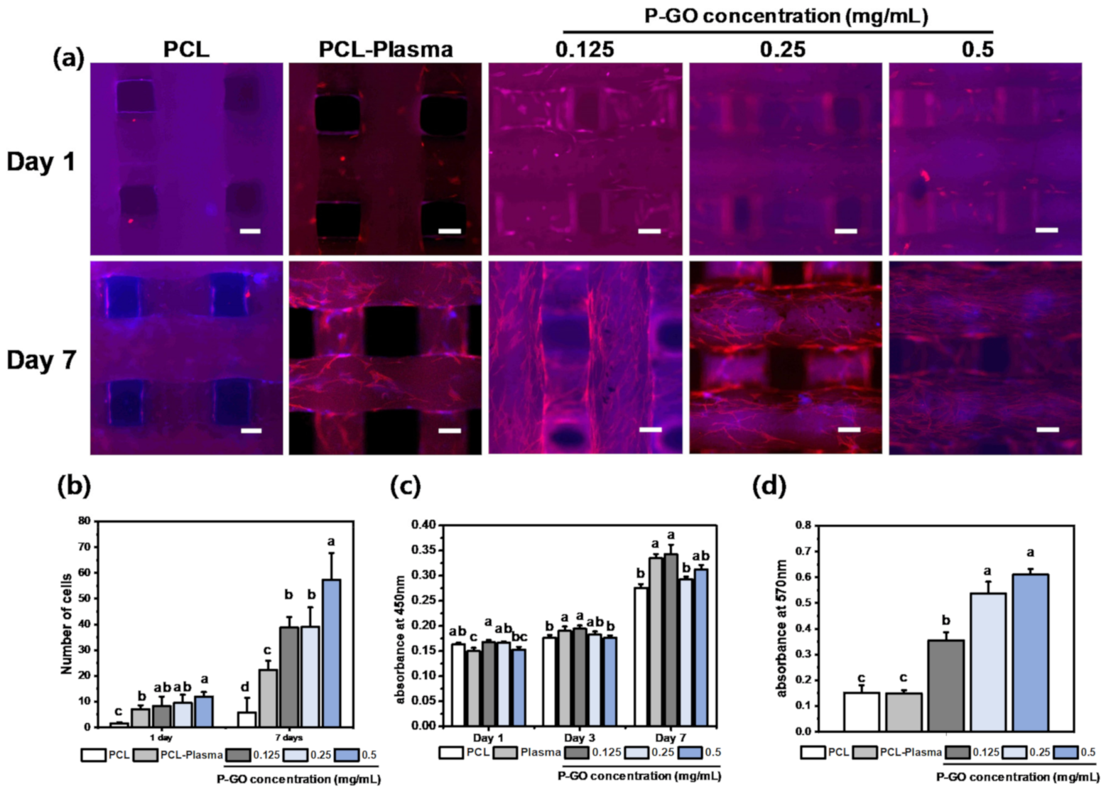 Polymers 13 00797 g005