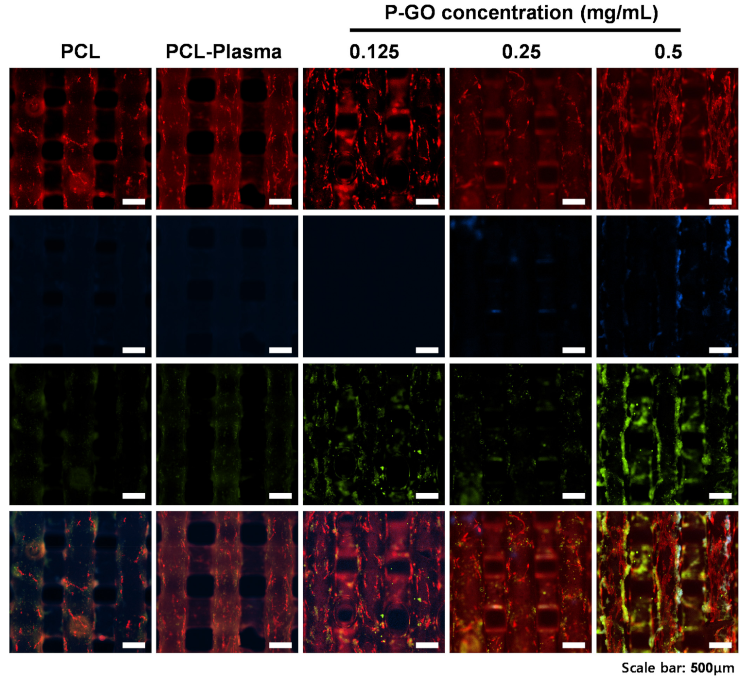 Polymers 13 00797 g007