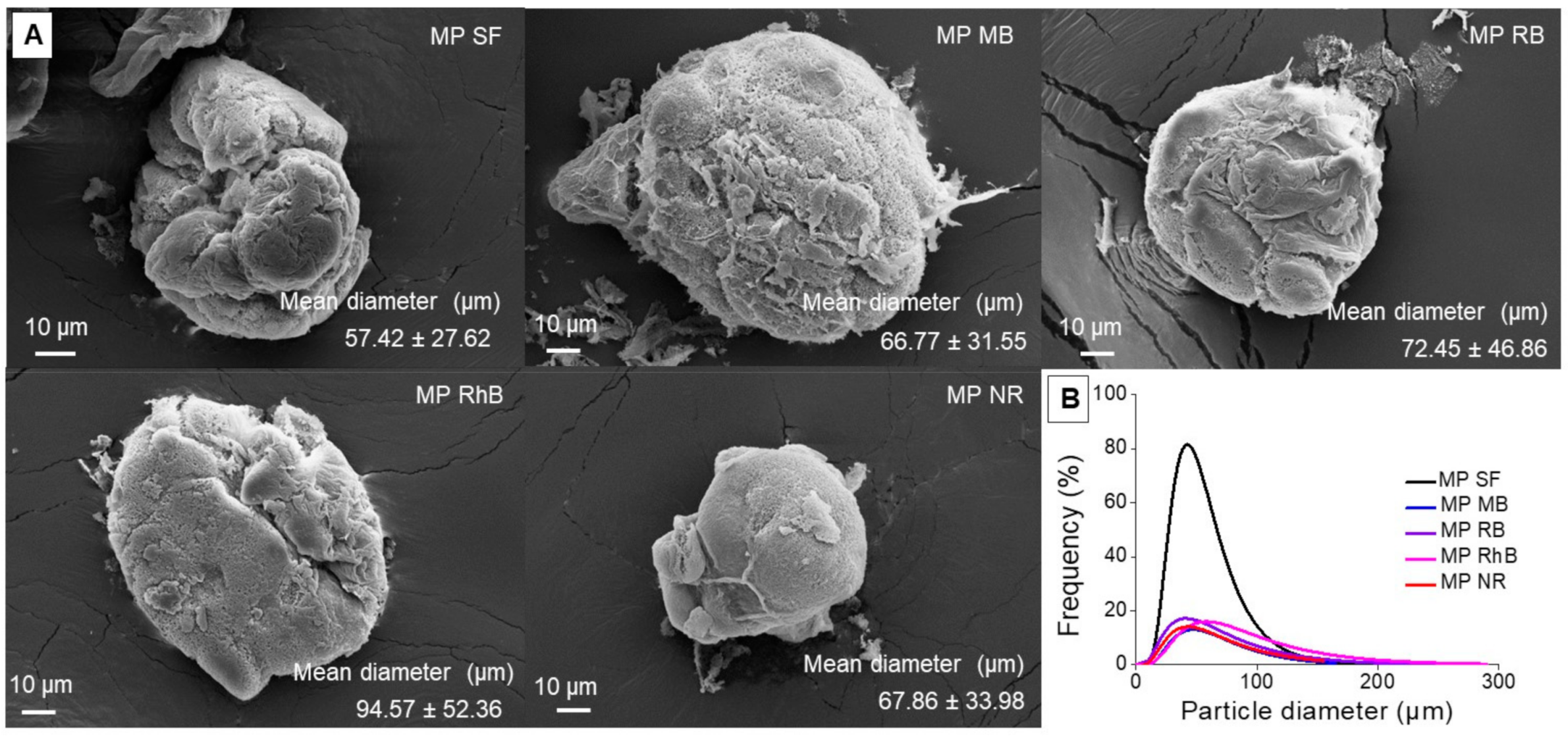 Polymers 13 00798 g001 Polymers 13 00798 g001