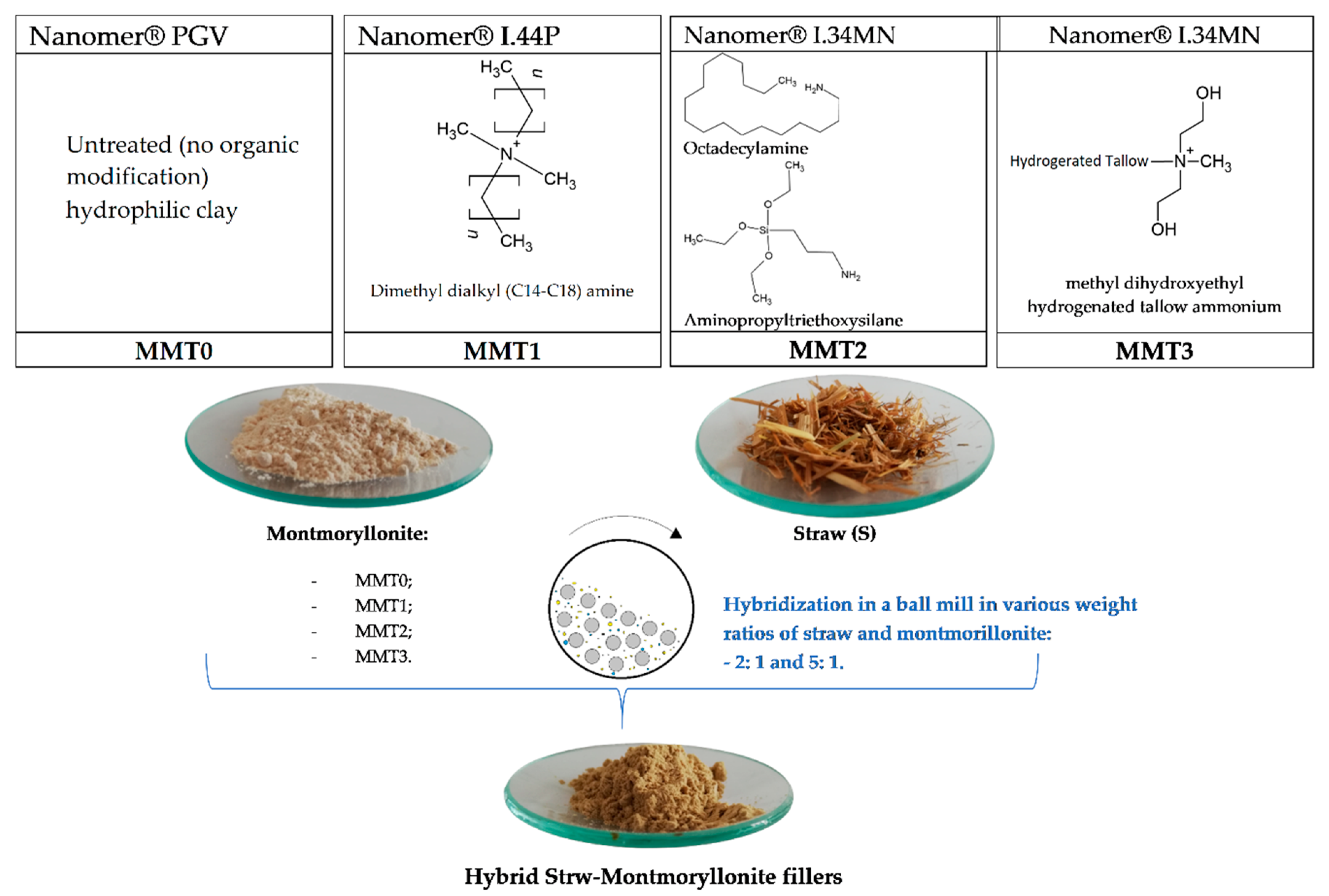 Polymers 13 00799 g001