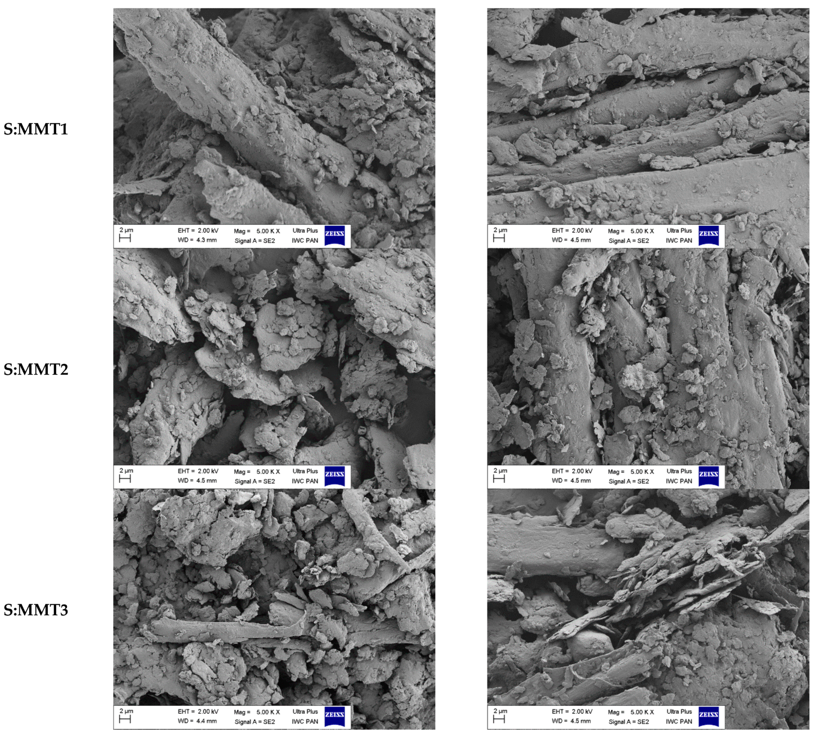 Polymers 13 00799 g003b