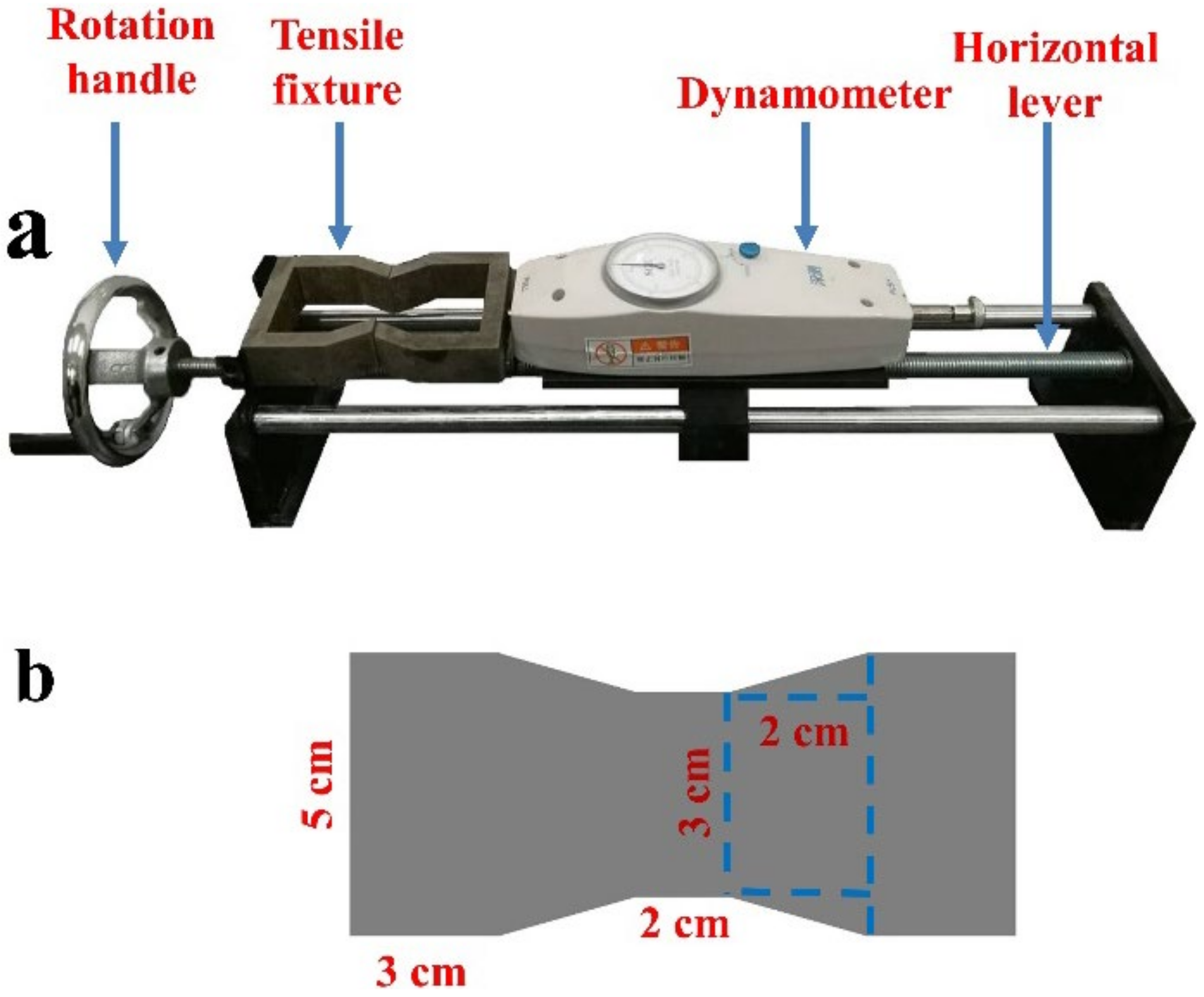 Polymers 13 00802 g004 Polymers 13 00802 g004