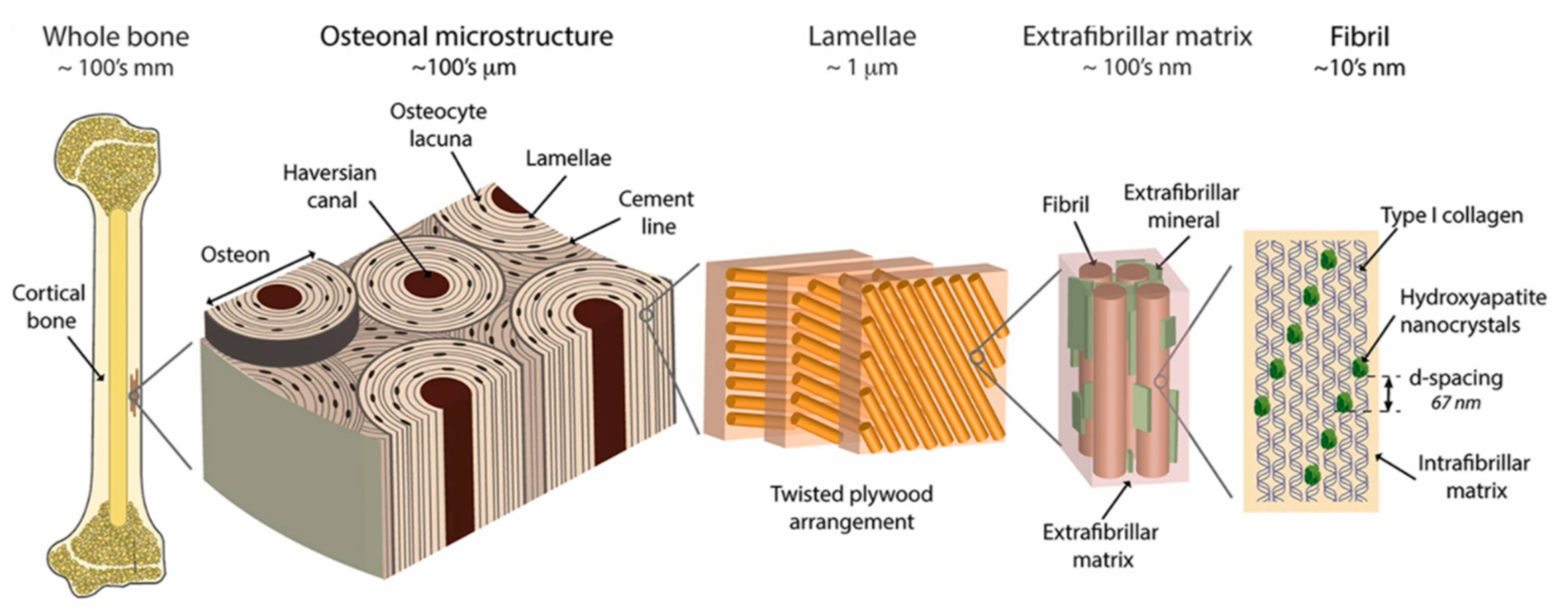 Polymers 13 00804 g001 Polymers 13 00804 g001