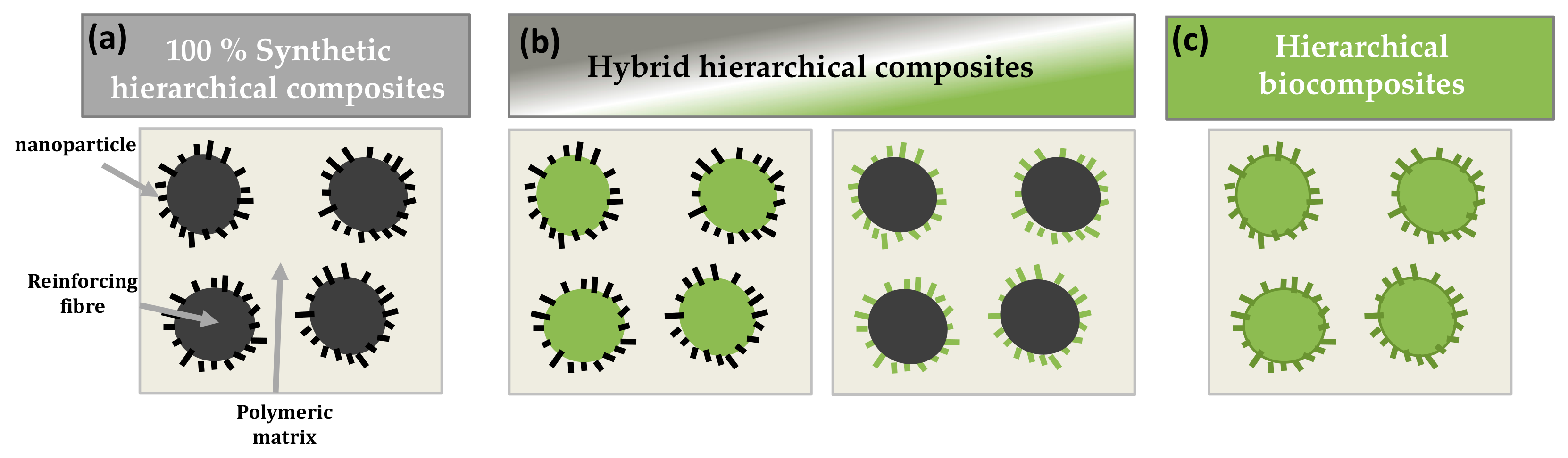 Polymers 13 00804 g004 Polymers 13 00804 g004