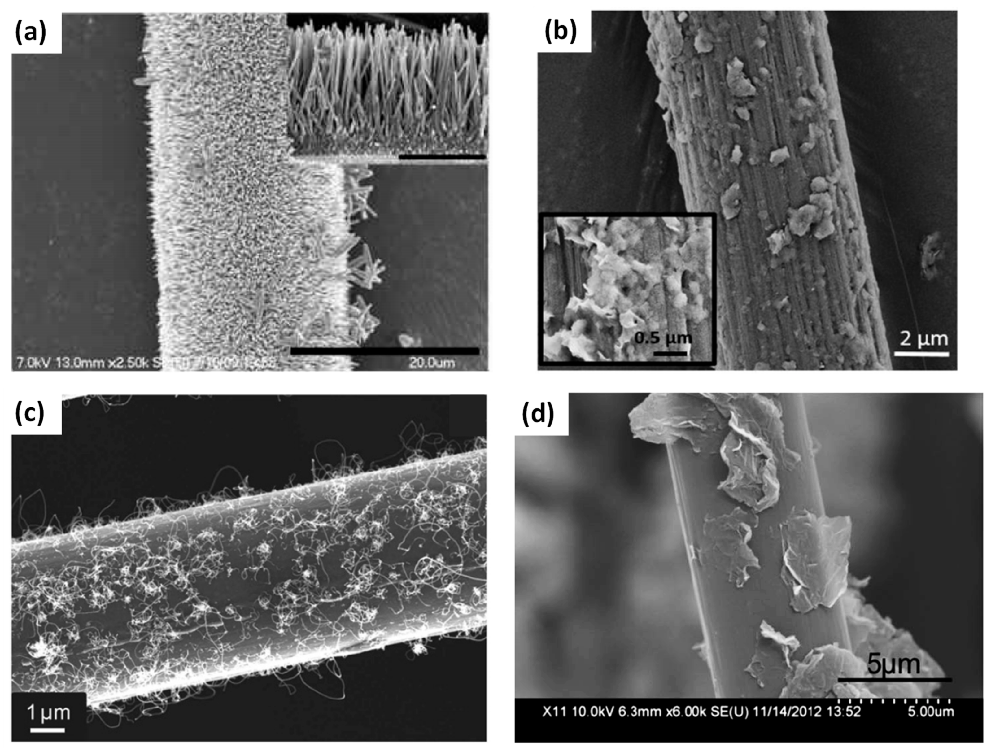 Polymers 13 00804 g005 Polymers 13 00804 g005