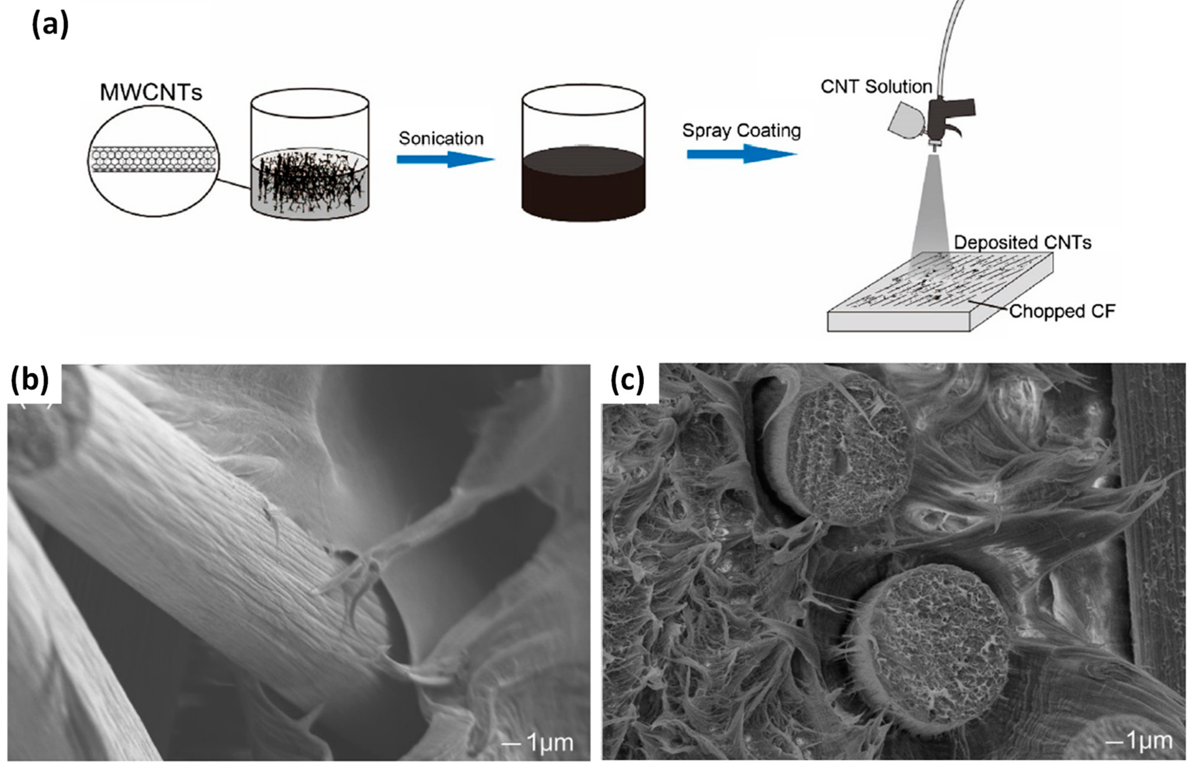 Polymers 13 00804 g006 Polymers 13 00804 g006