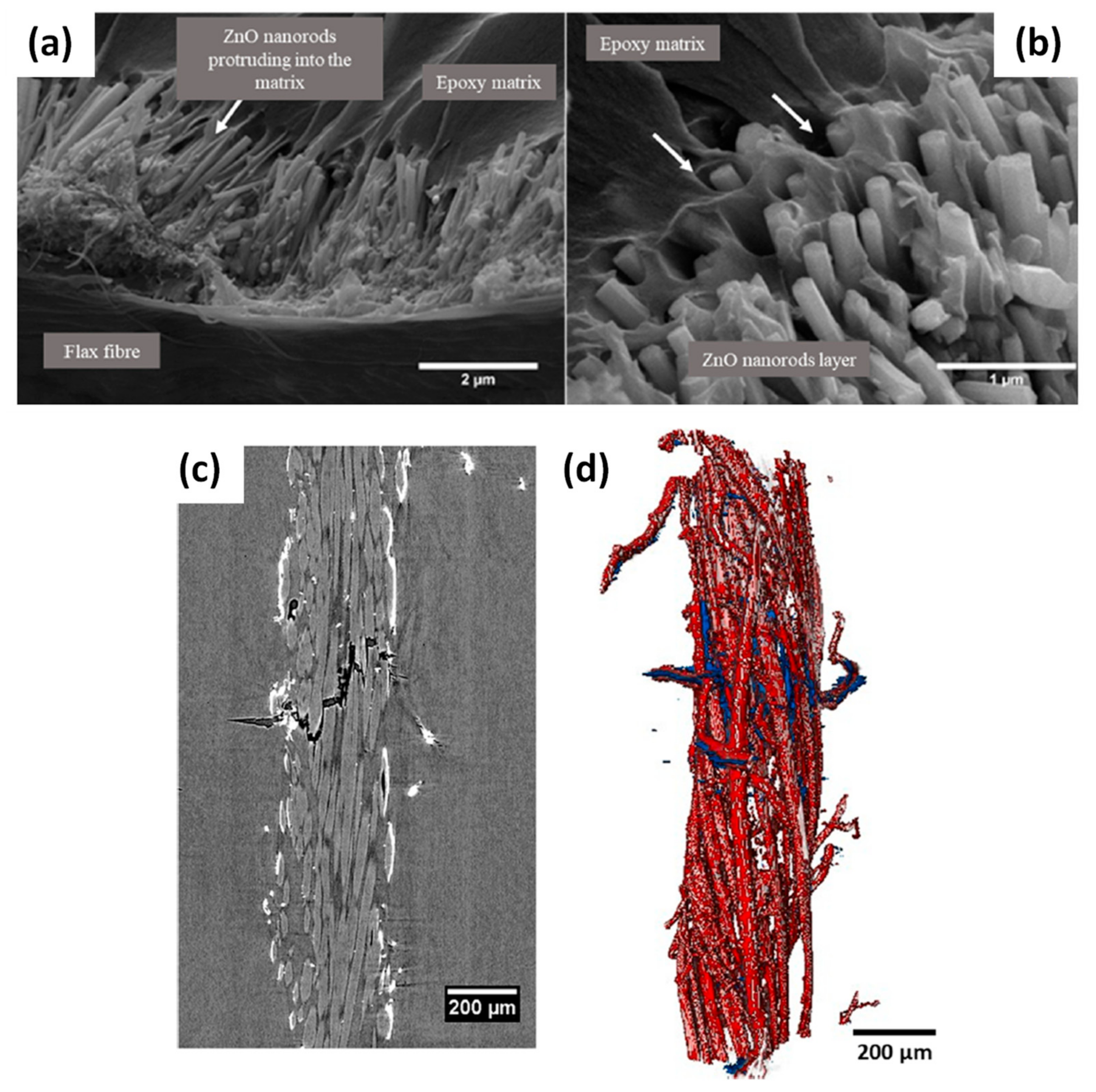 Polymers 13 00804 g011 Polymers 13 00804 g011
