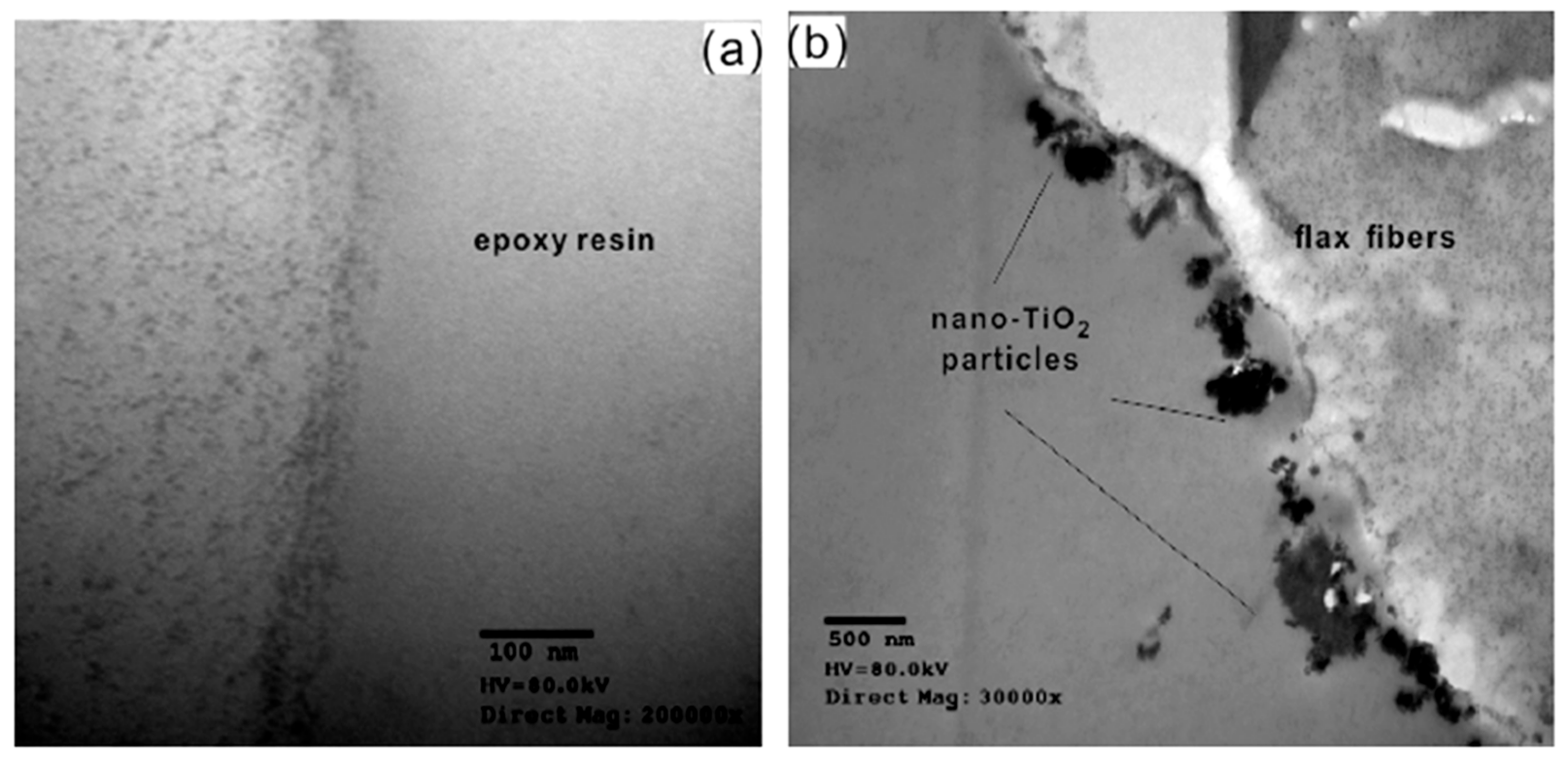 Polymers 13 00804 g012 Polymers 13 00804 g012