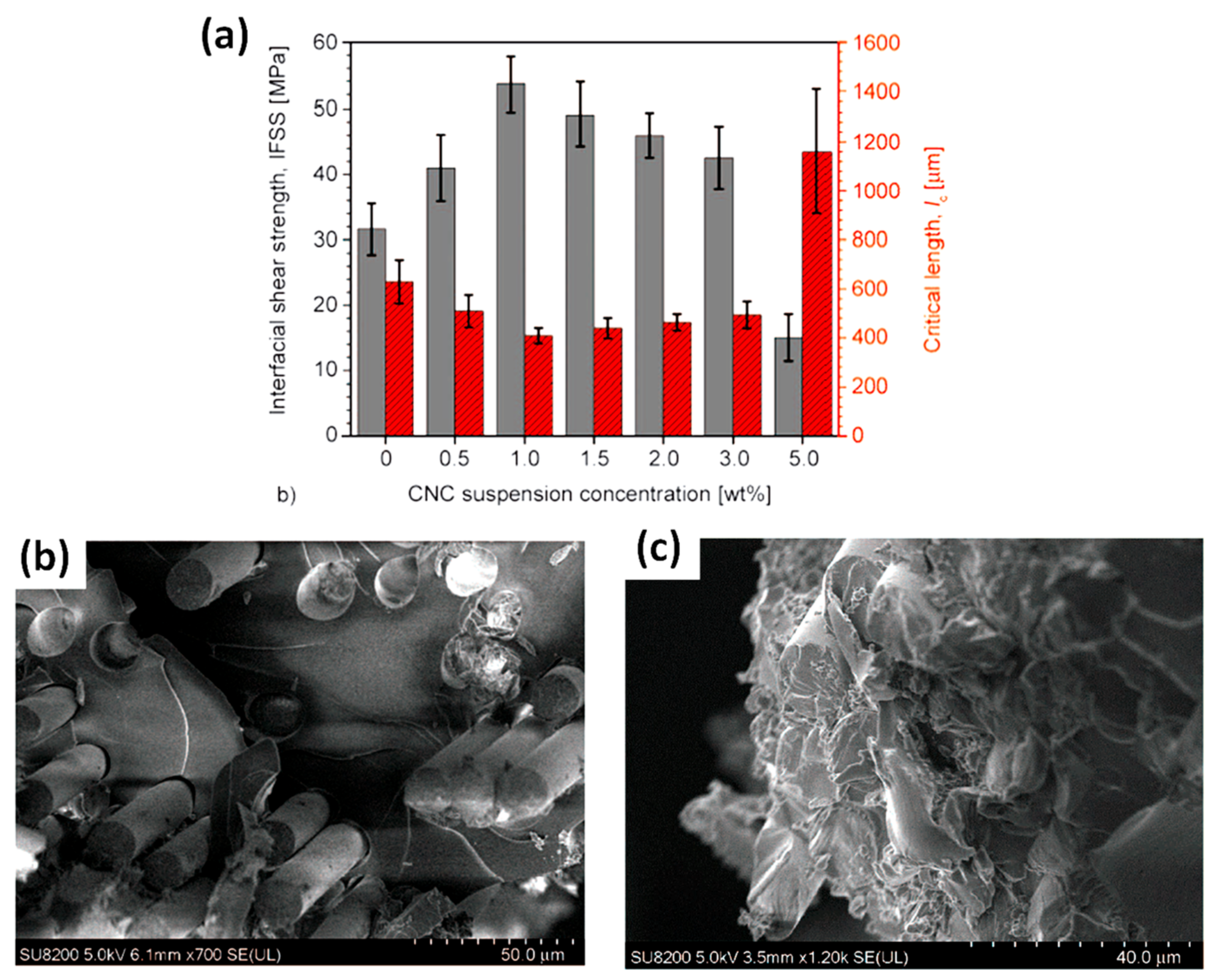 Polymers 13 00804 g016 Polymers 13 00804 g016