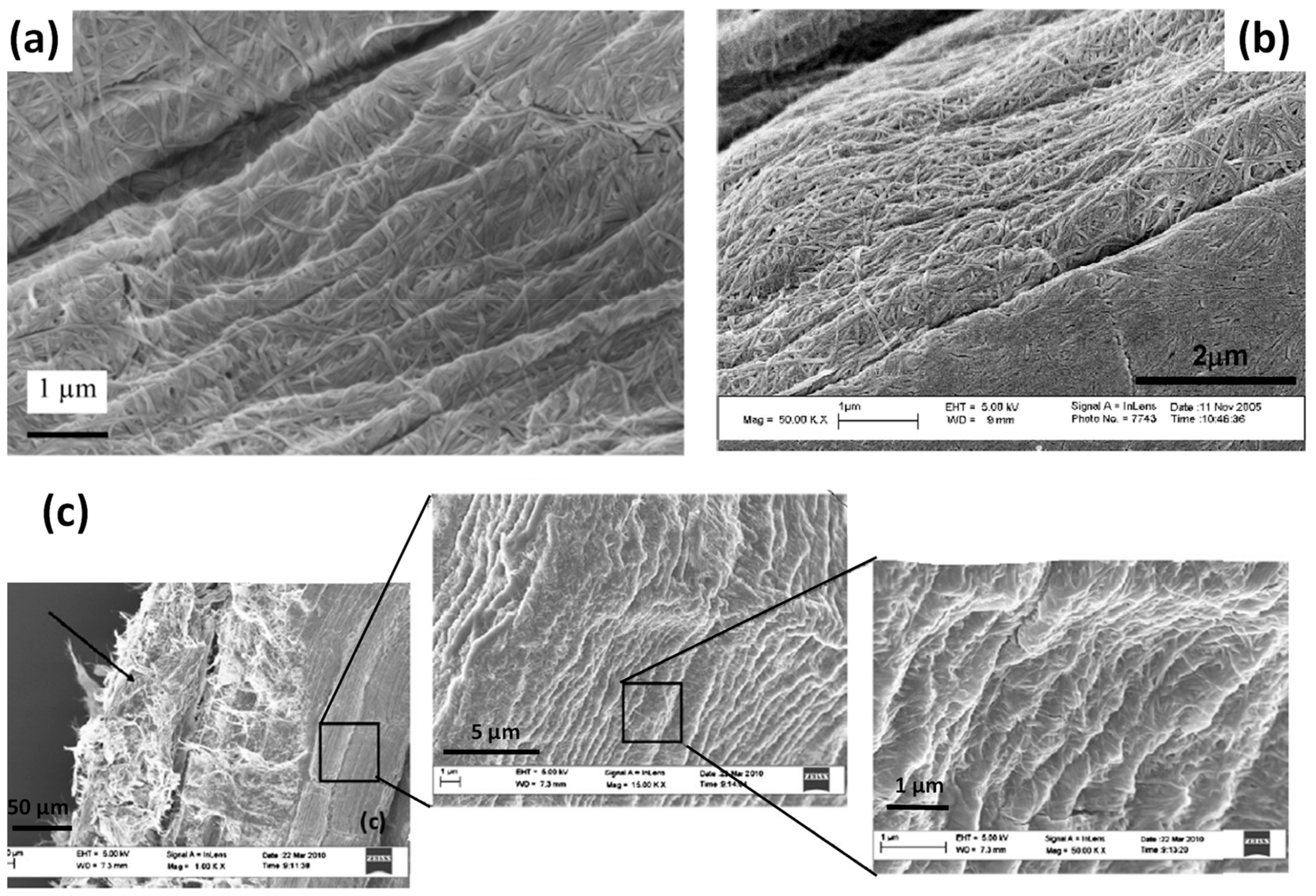 Polymers 13 00804 g017 Polymers 13 00804 g017