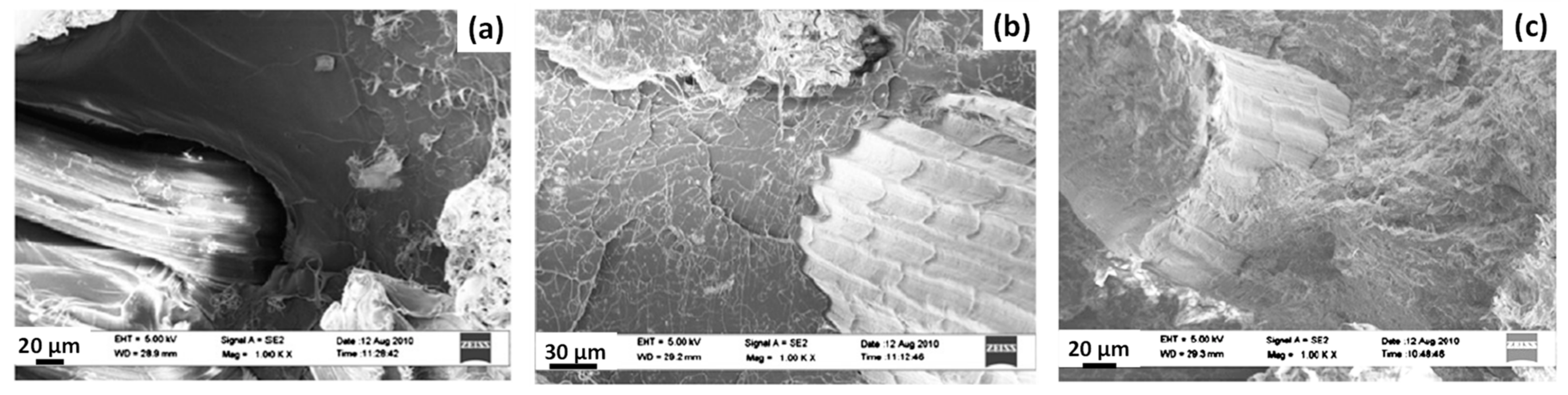 Polymers 13 00804 g019 Polymers 13 00804 g019