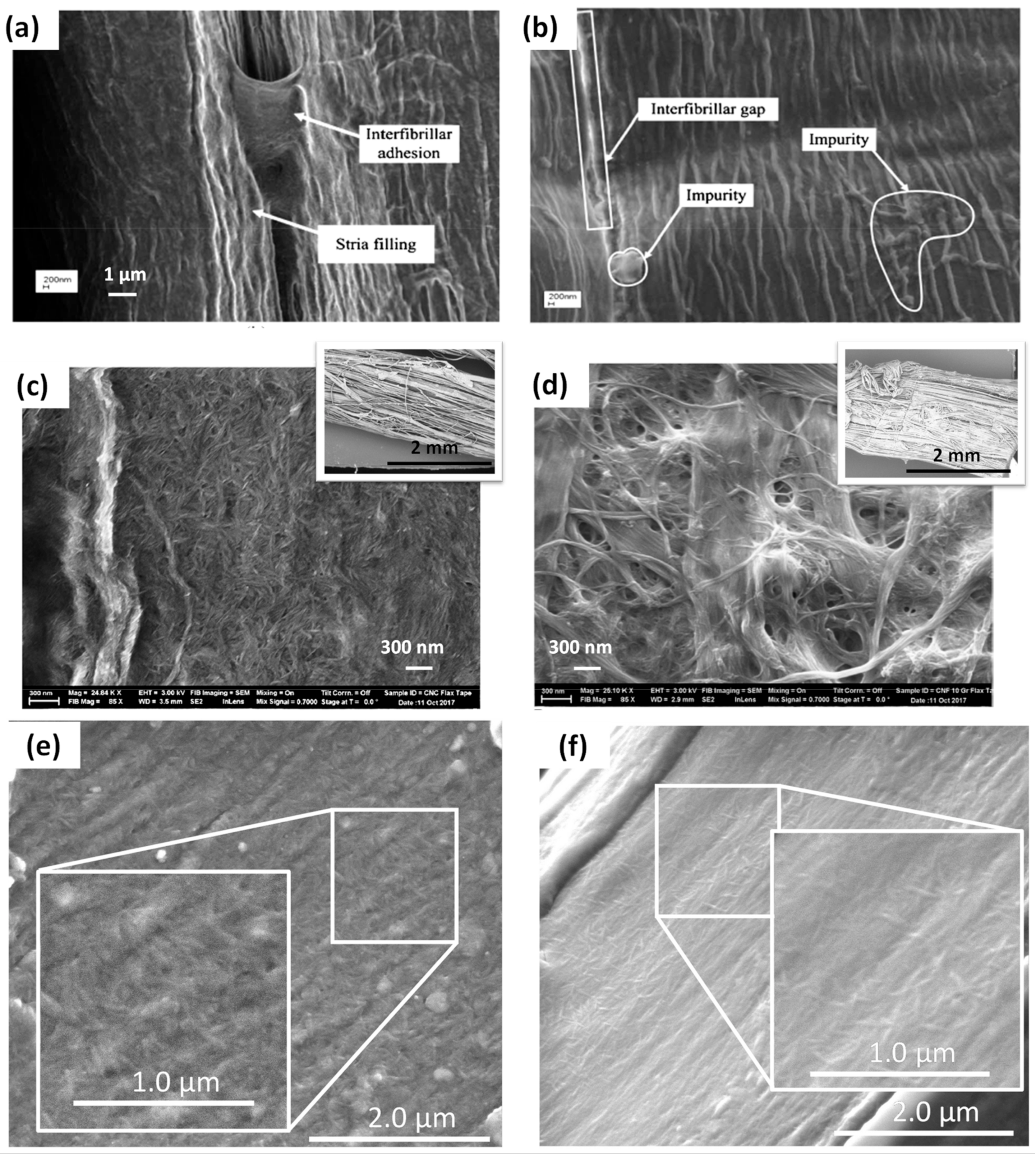 Polymers 13 00804 g021 Polymers 13 00804 g021