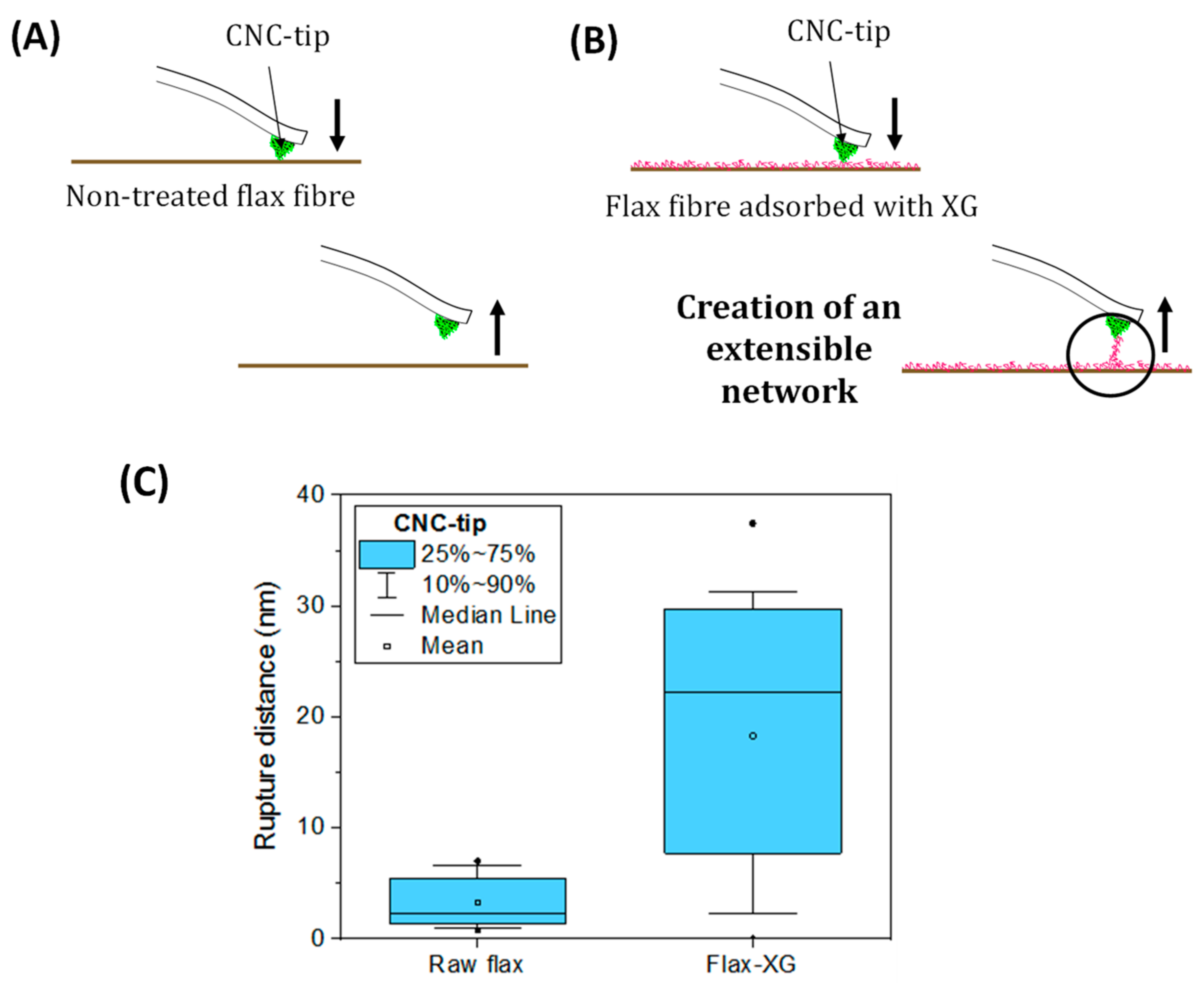 Polymers 13 00804 g022 Polymers 13 00804 g022