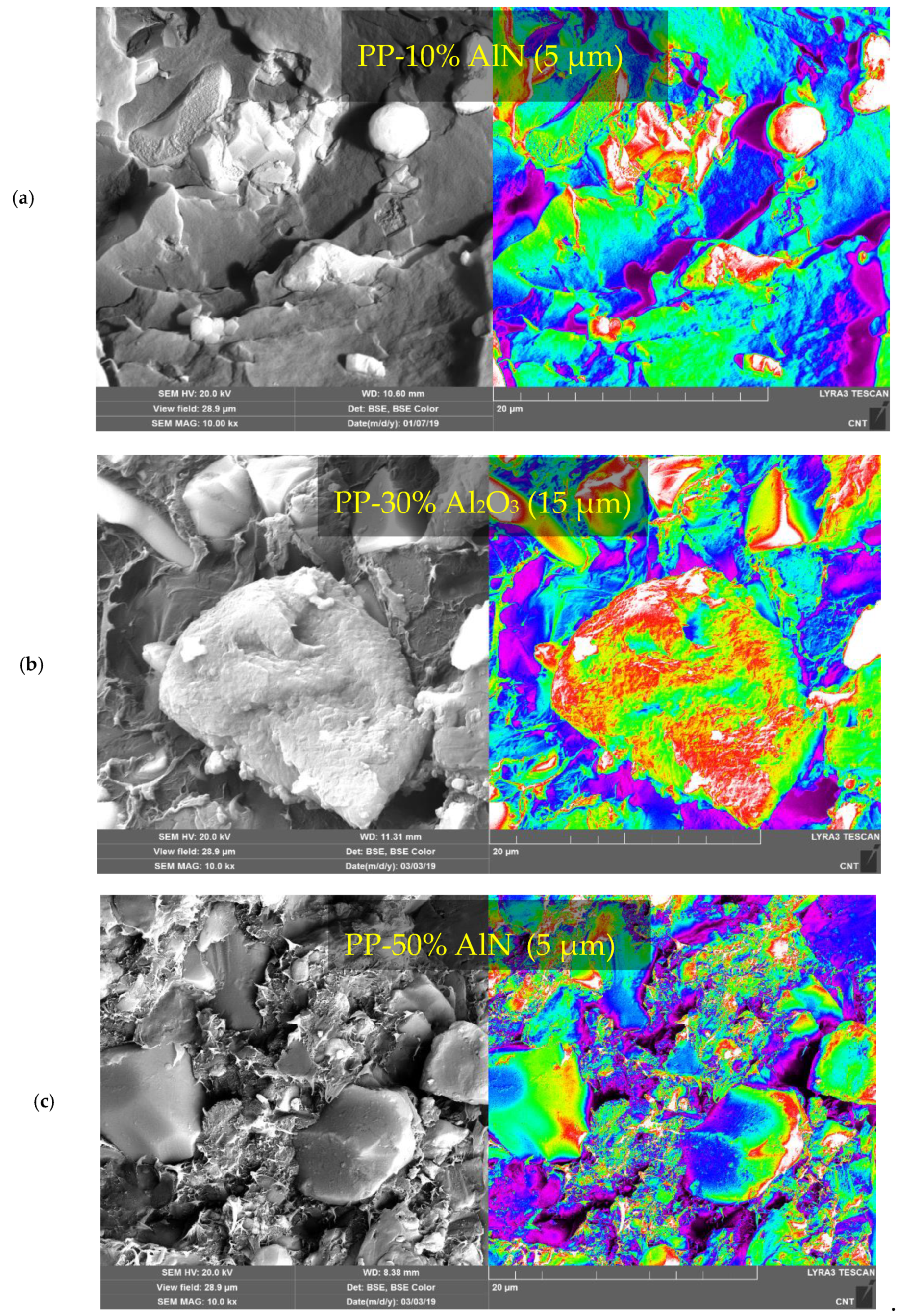 Polymers 13 00807 g007 Polymers 13 00807 g007