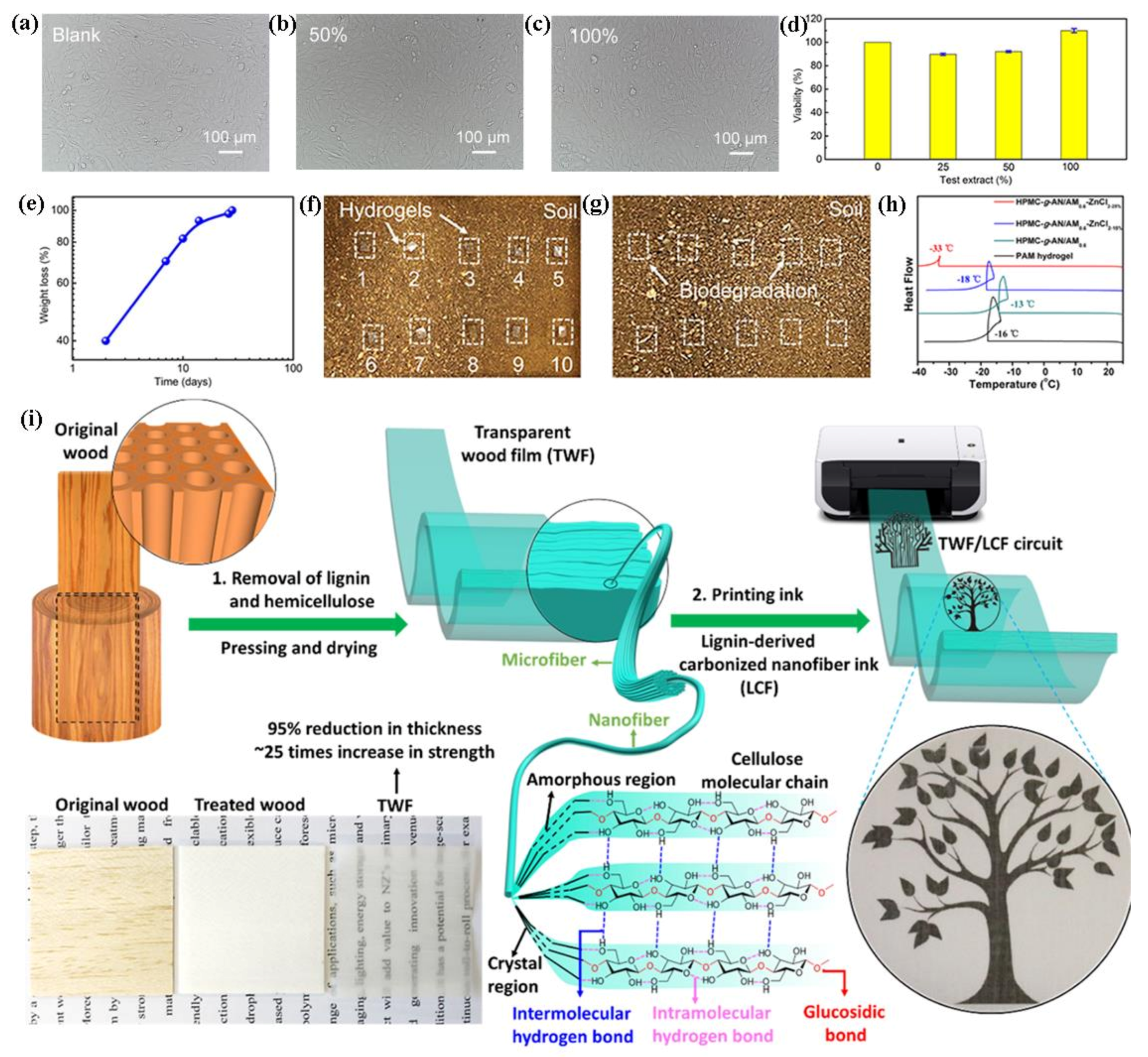 Polymers 13 00813 g007