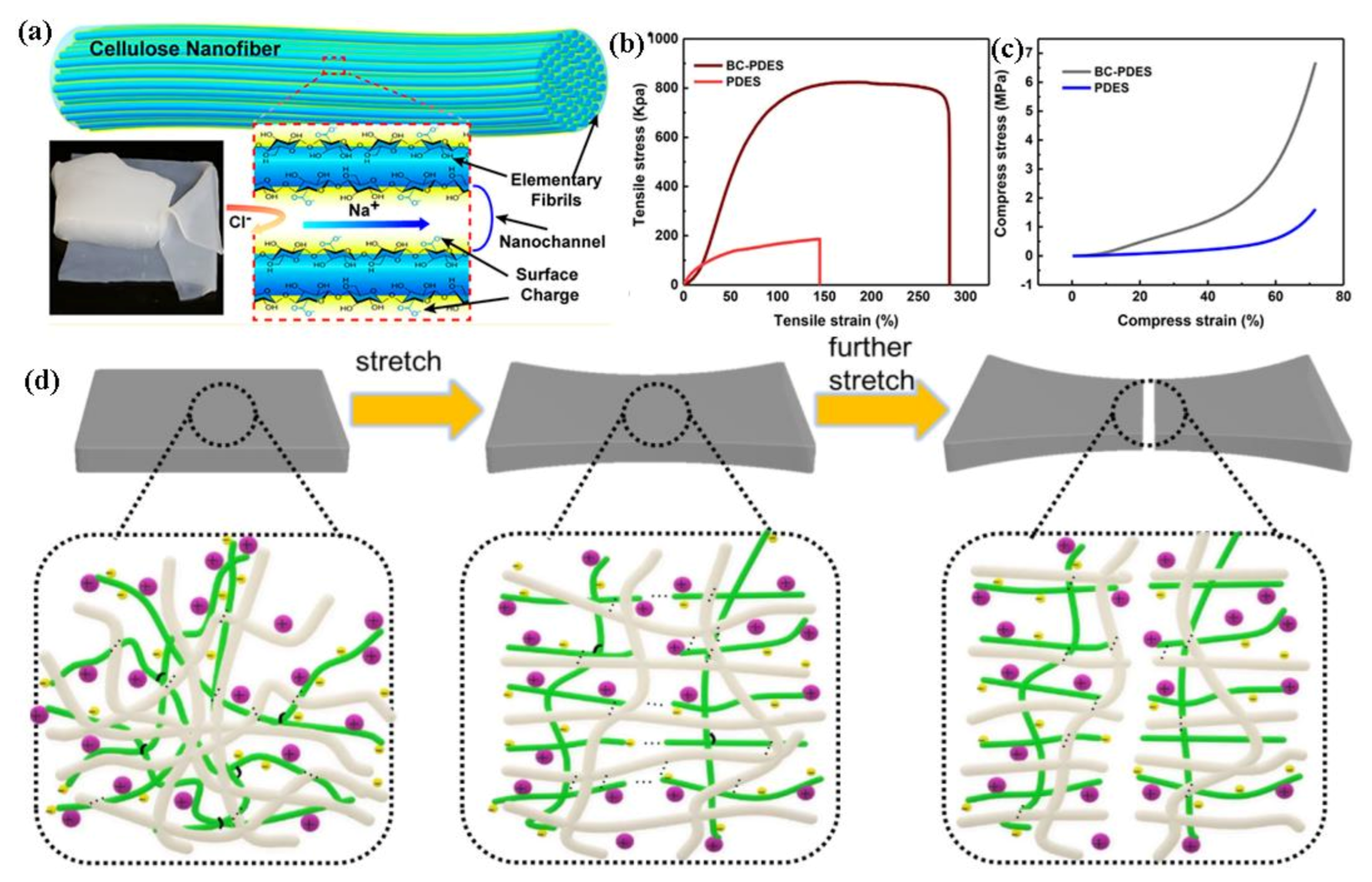 Polymers 13 00813 g008