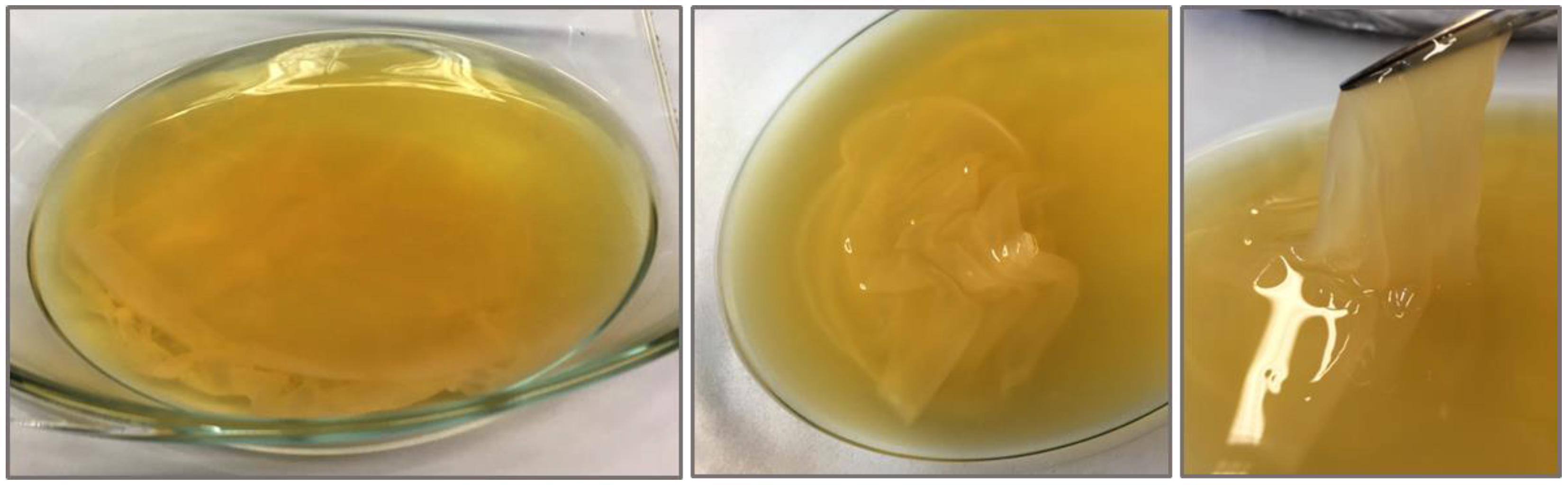 Polymers 13 00815 g001