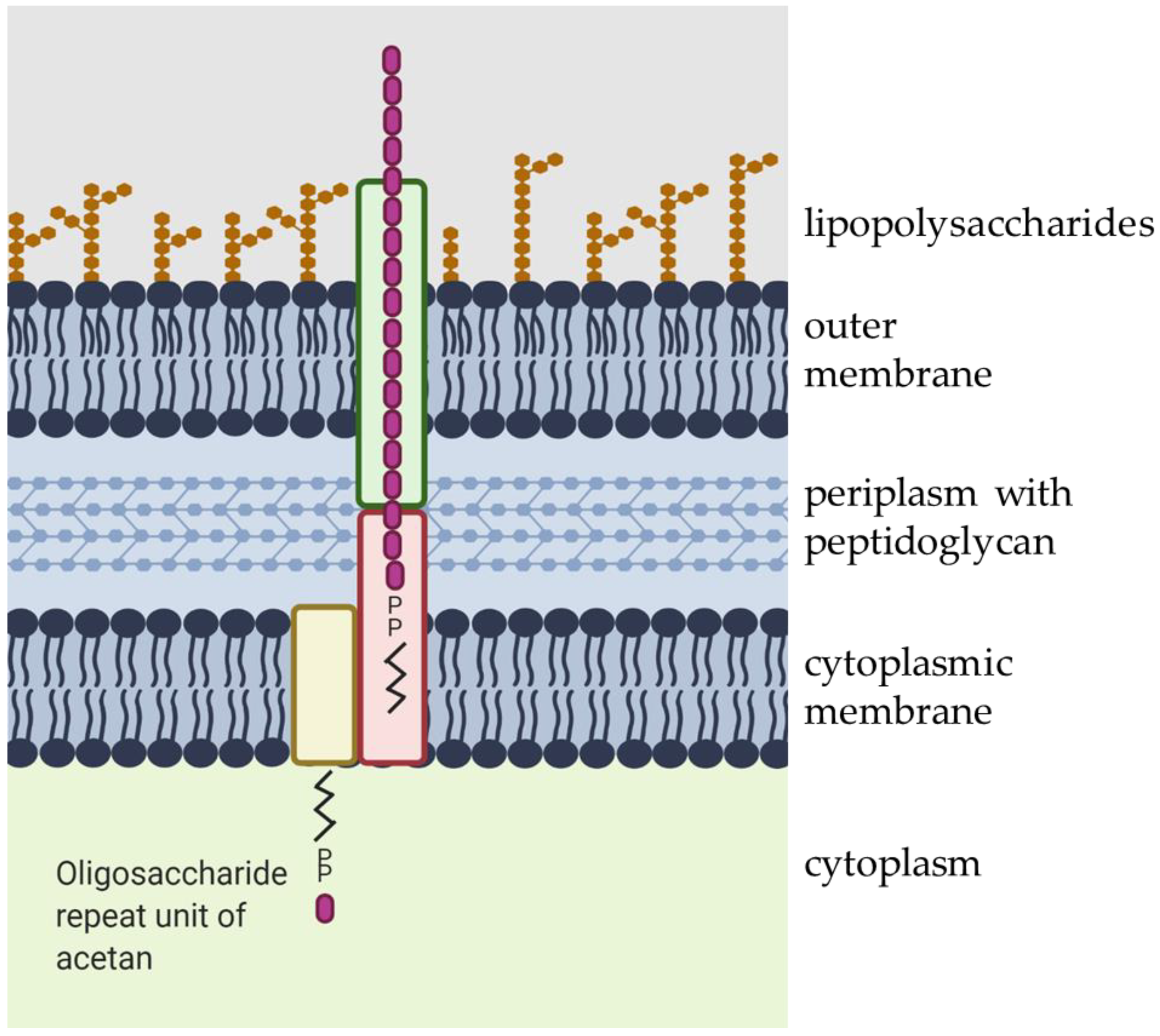 Polymers 13 00815 g003