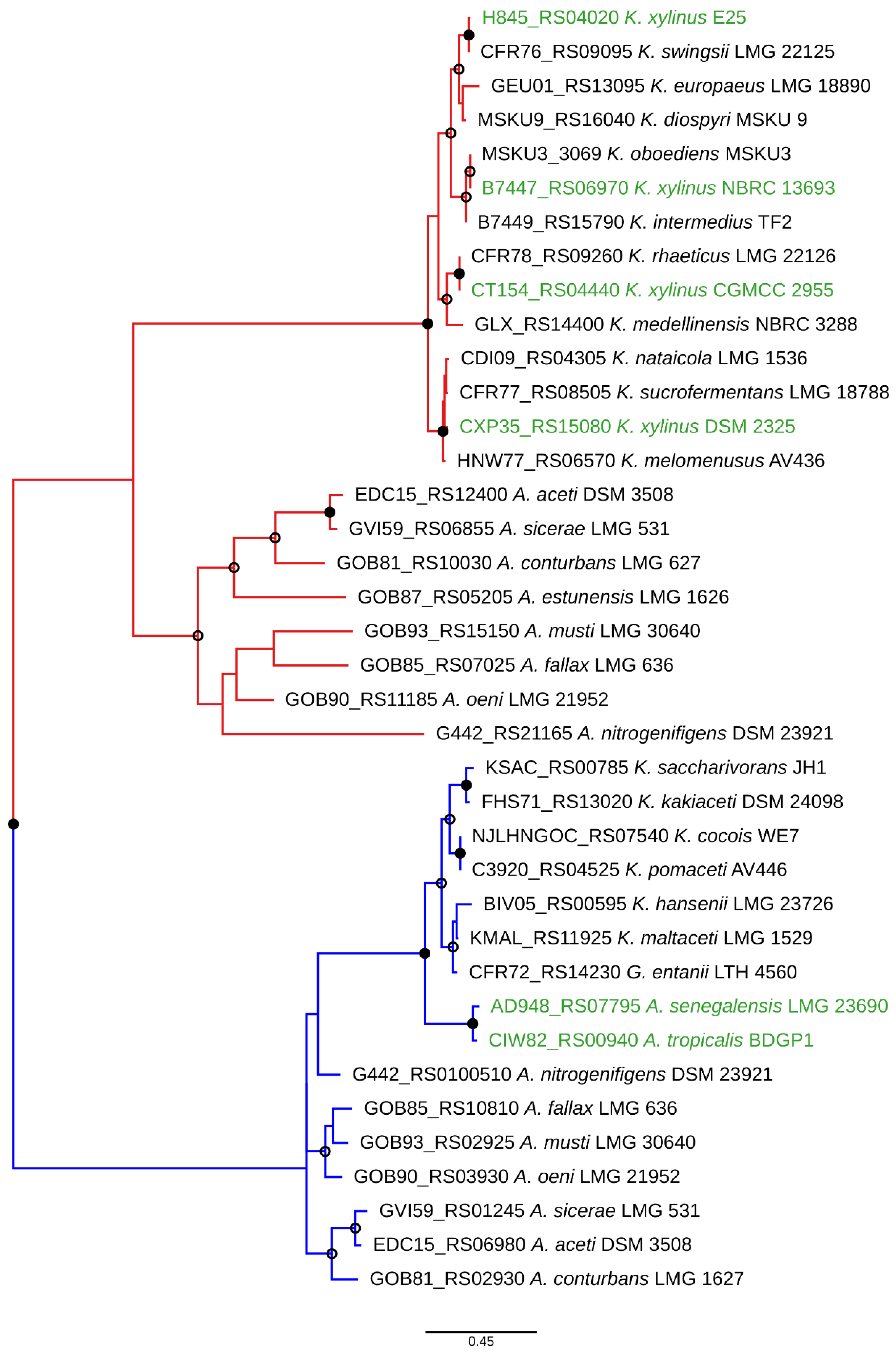 Polymers 13 00815 g005