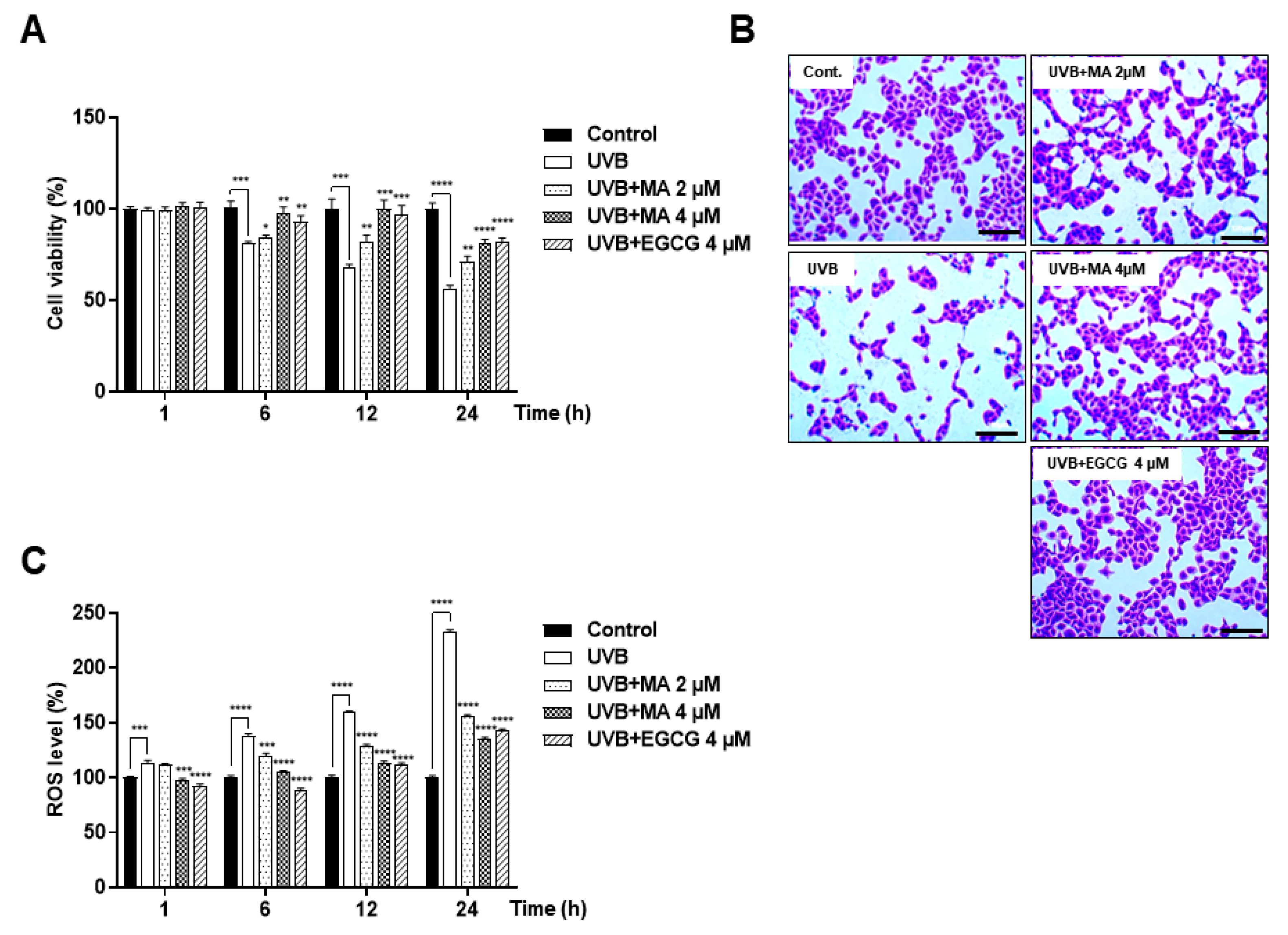 Polymers 13 00816 g002 Polymers 13 00816 g002