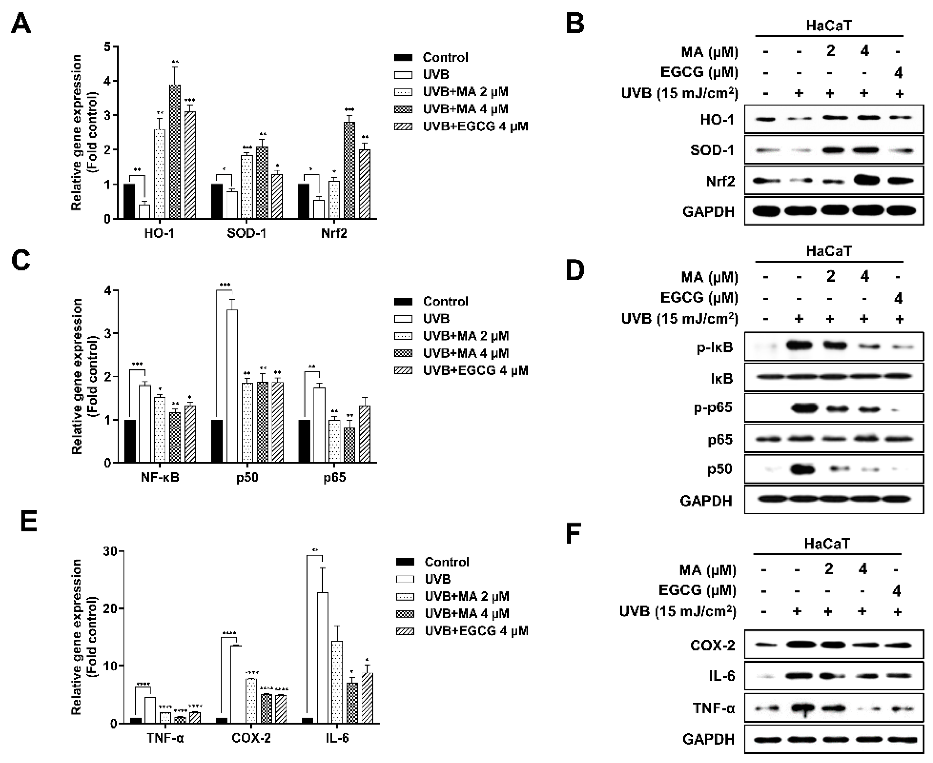 Polymers 13 00816 g003 Polymers 13 00816 g003