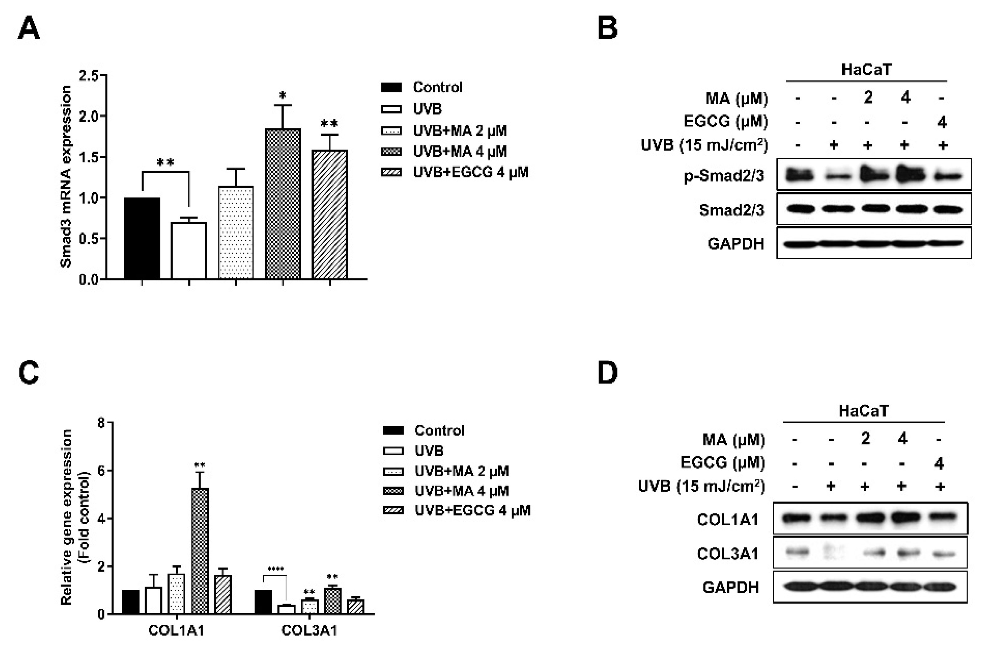 Polymers 13 00816 g005 Polymers 13 00816 g005