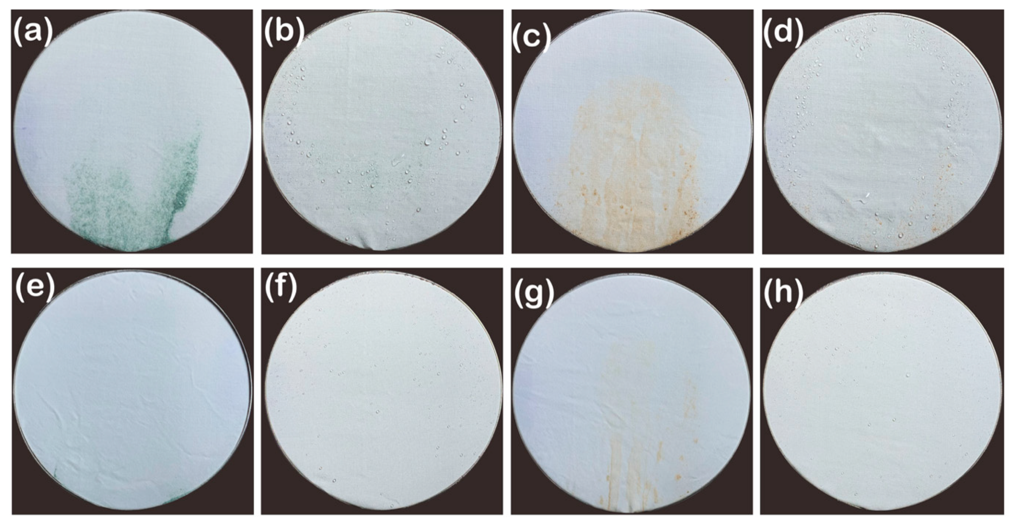 Polymers 13 00817 g007