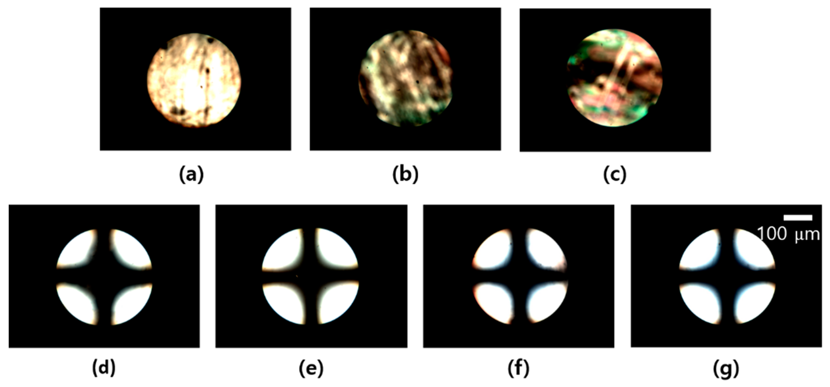 Polymers 13 00819 g004 Polymers 13 00819 g004