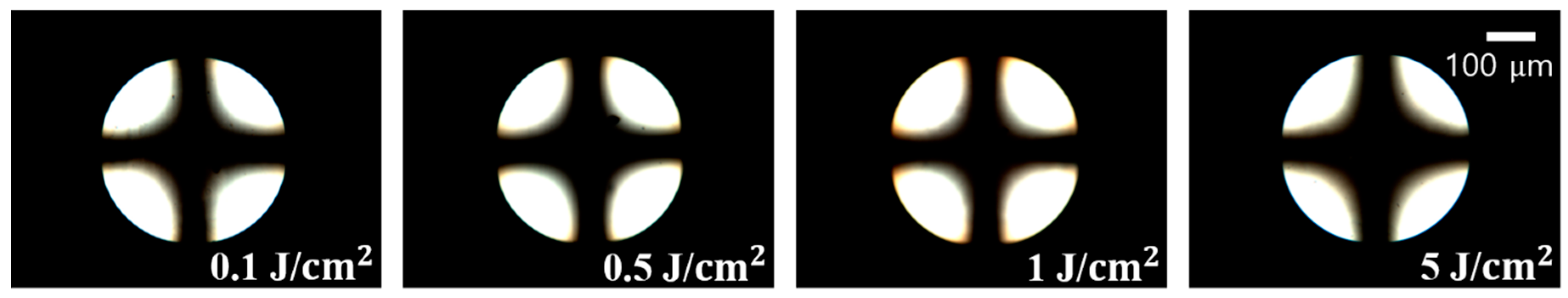Polymers 13 00819 g008 Polymers 13 00819 g008