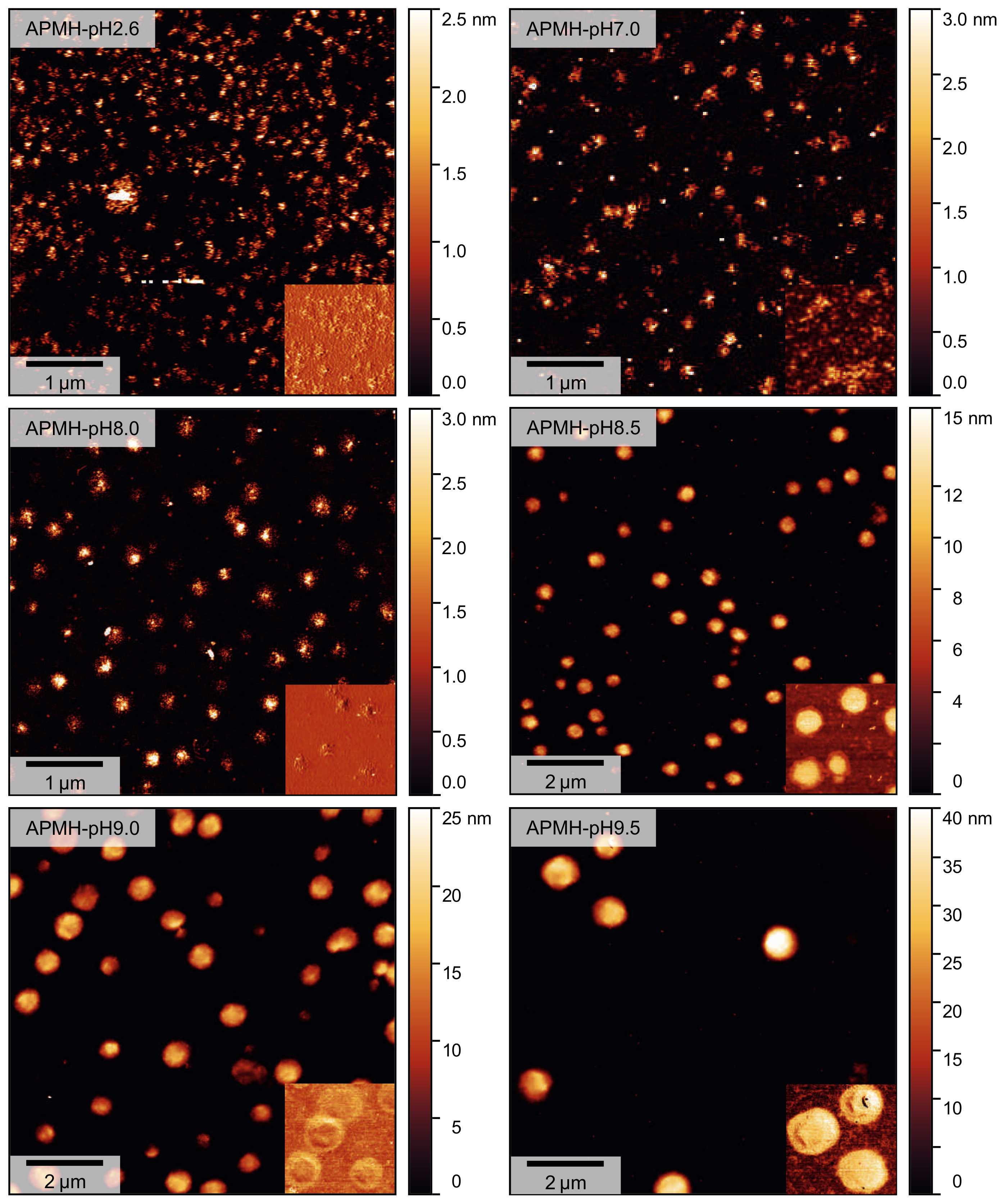 Polymers 13 00827 g009 Polymers 13 00827 g009