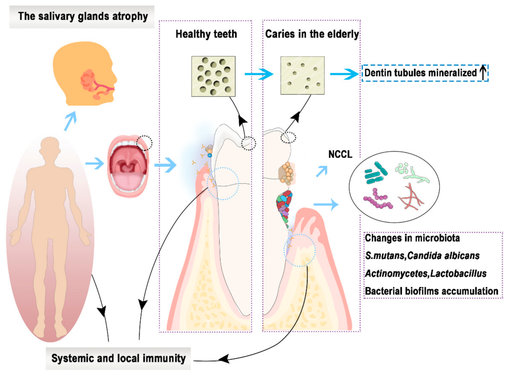 Polymers 13 00828 g001 Polymers 13 00828 g001