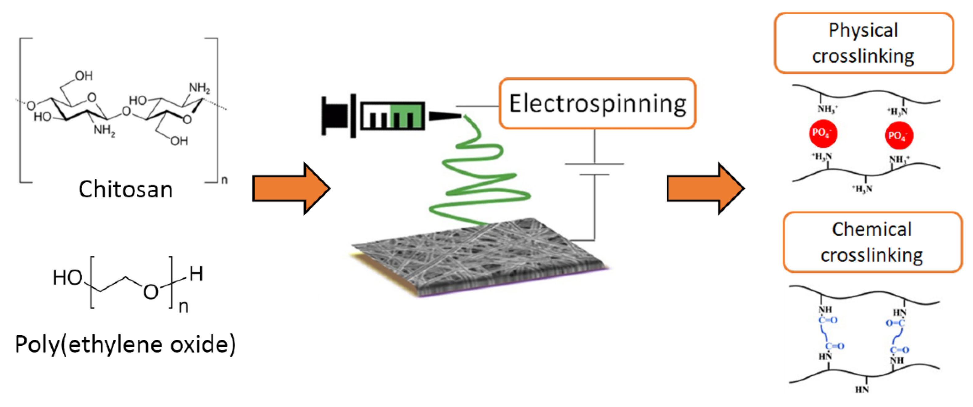 Polymers 13 00831 g002 Polymers 13 00831 g002
