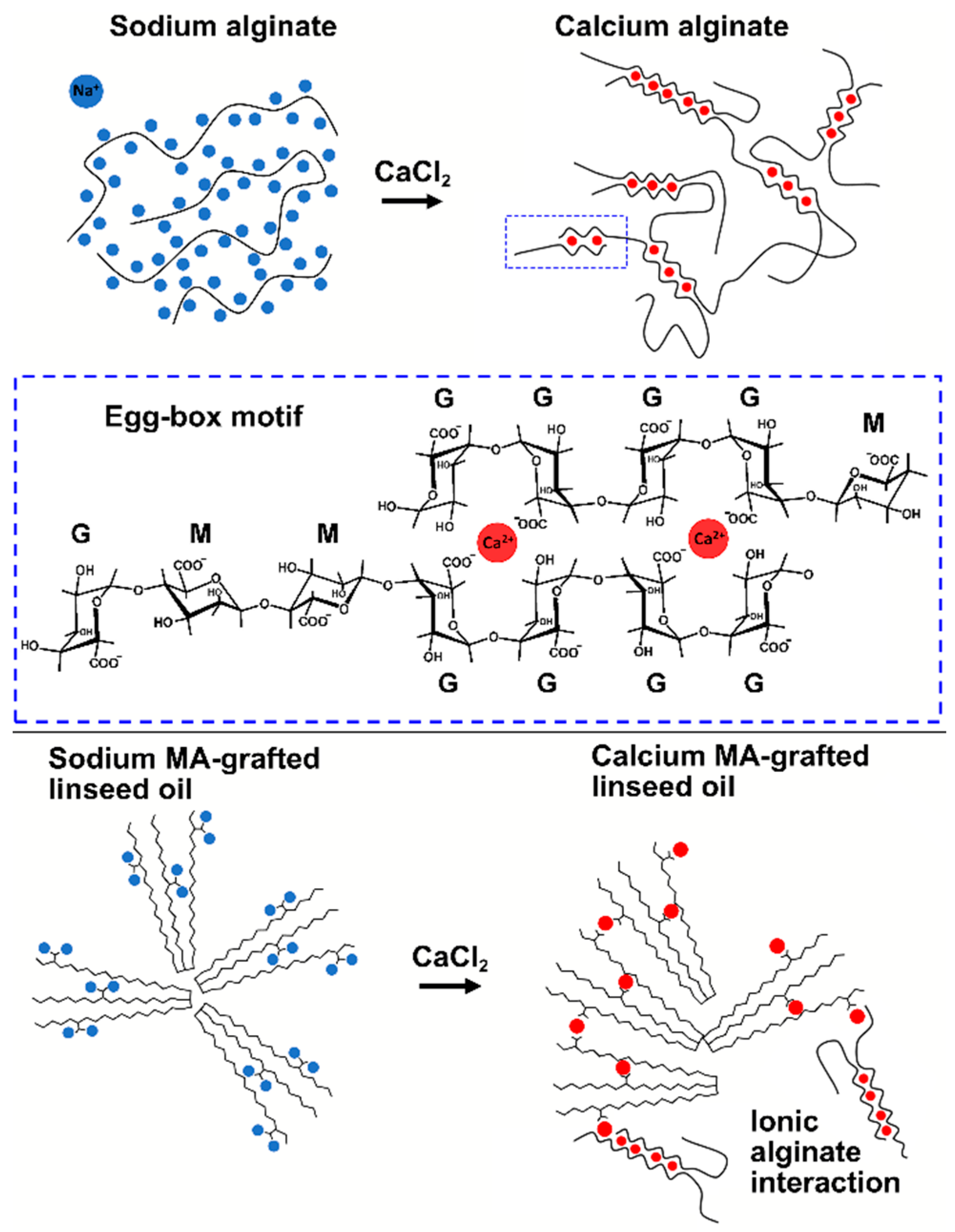 Polymers 13 00836 sch003 Polymers 13 00836 sch003
