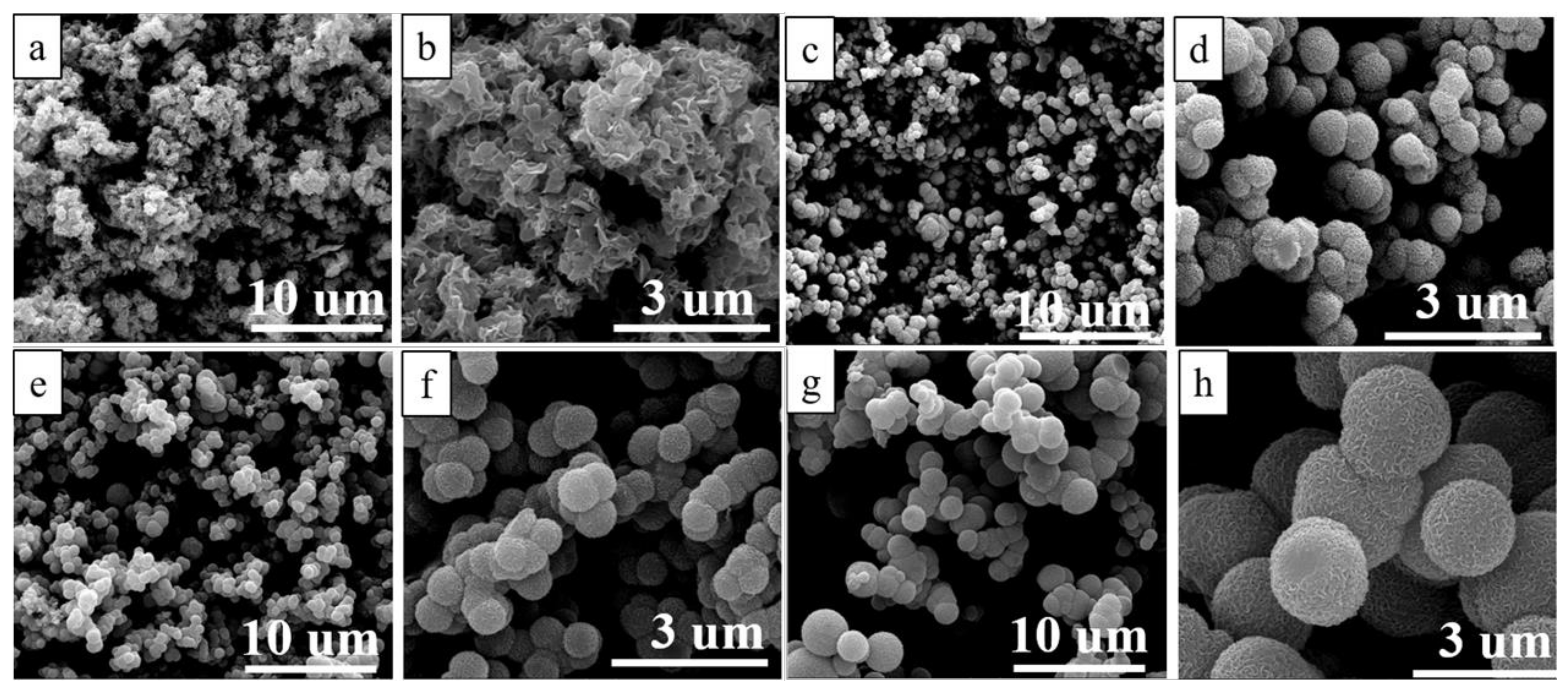 Polymers 13 00837 g003