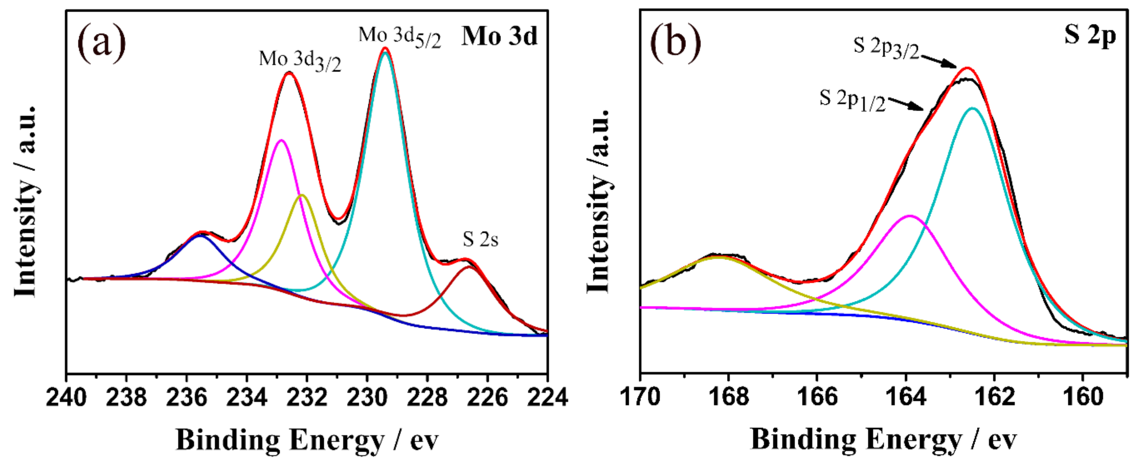 Polymers 13 00837 g005