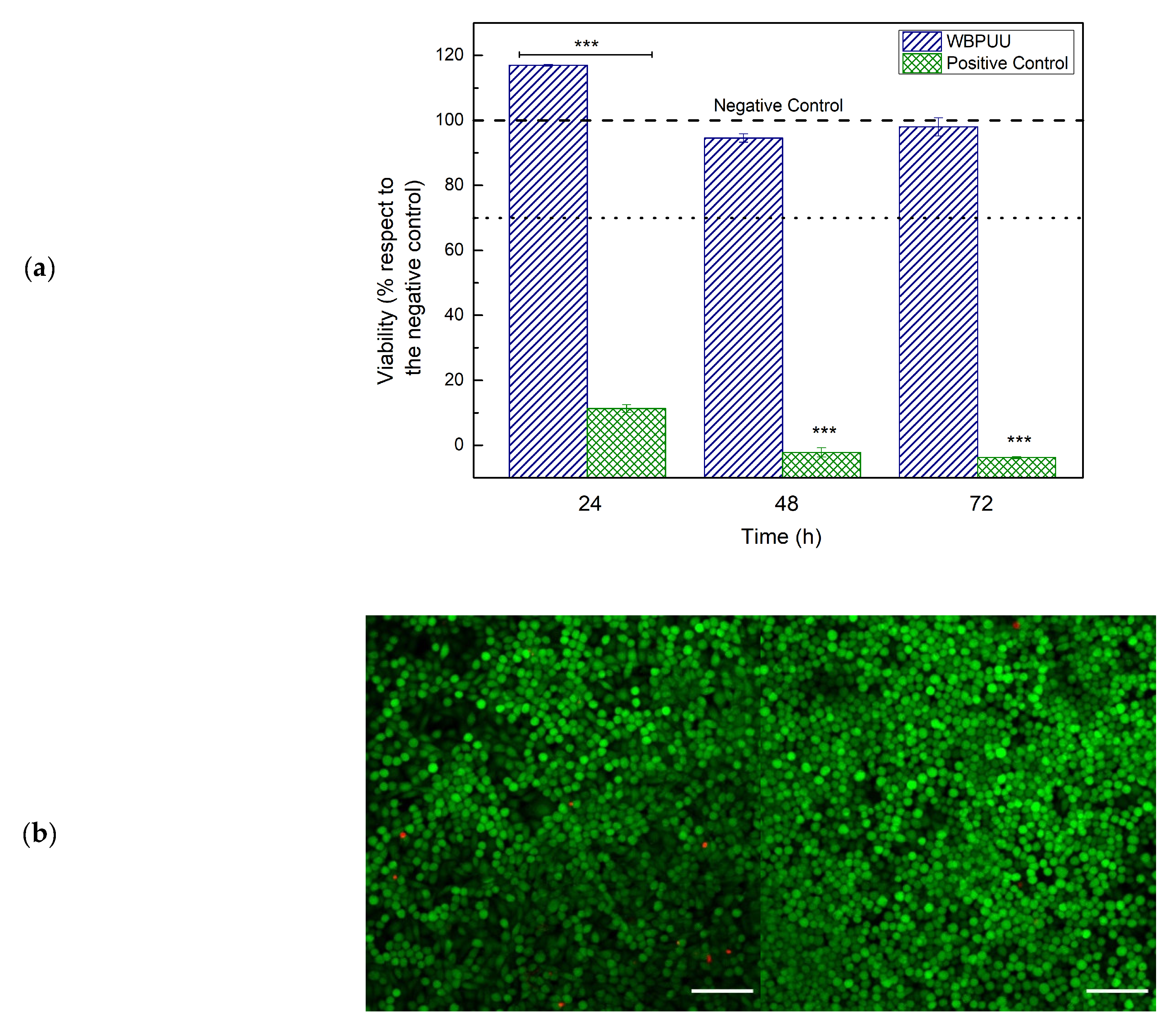 Polymers 13 00839 g004 Polymers 13 00839 g004