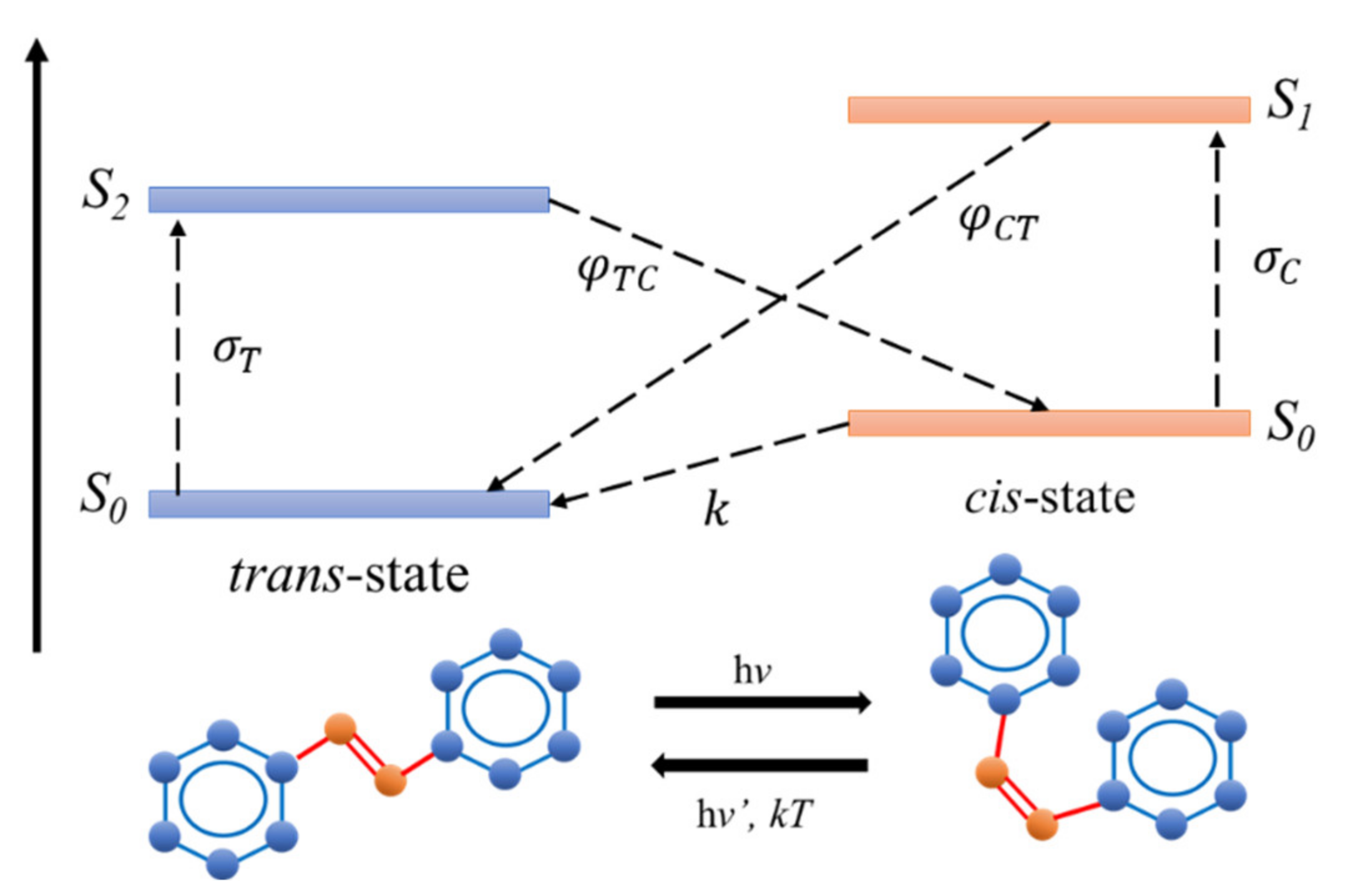 Polymers 13 00841 g002