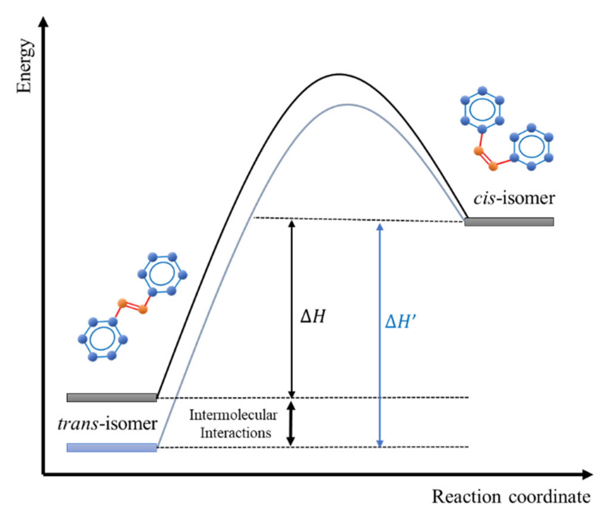 Polymers 13 00841 g003