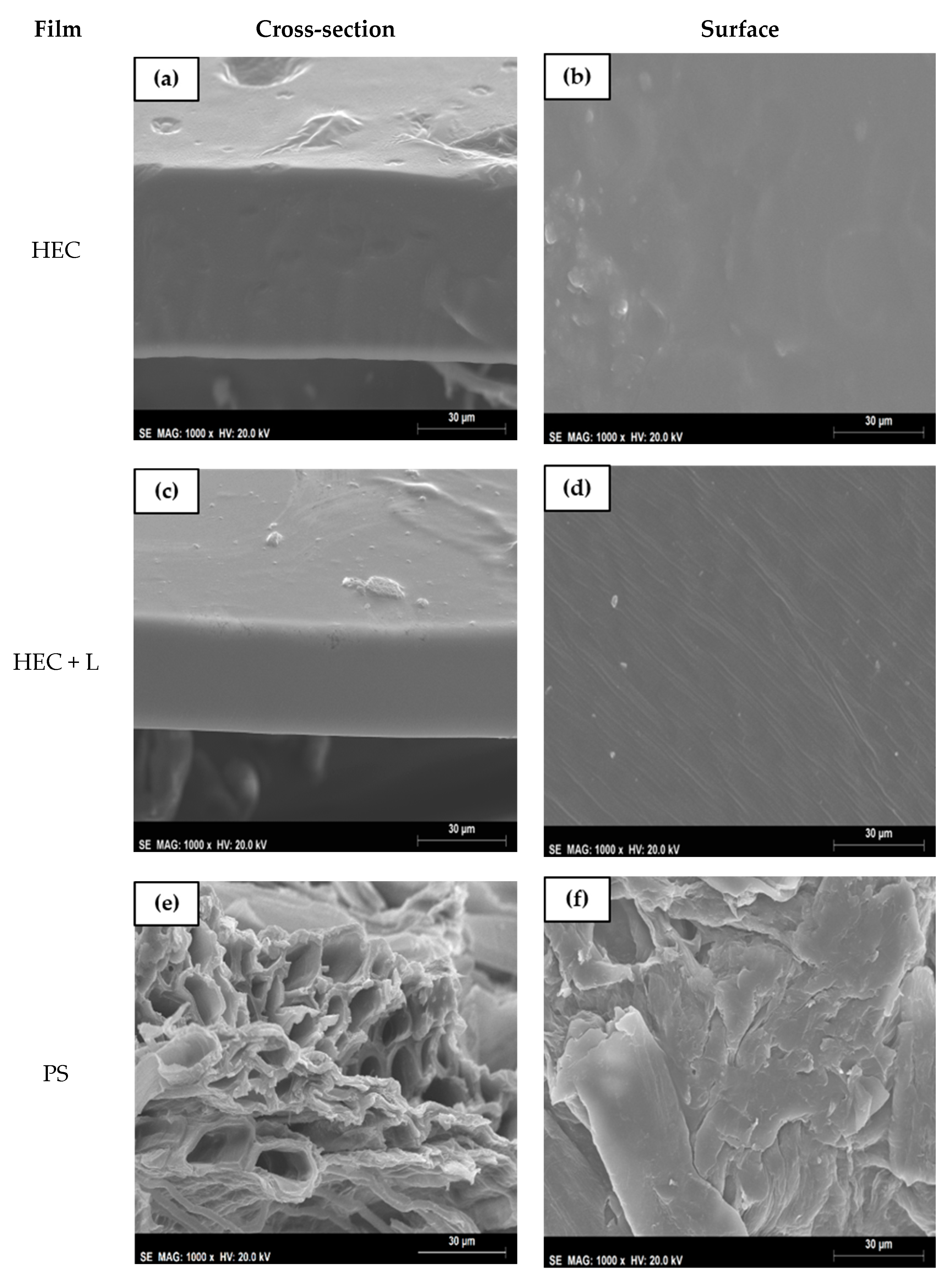 Polymers 13 00843 g002a Polymers 13 00843 g002a