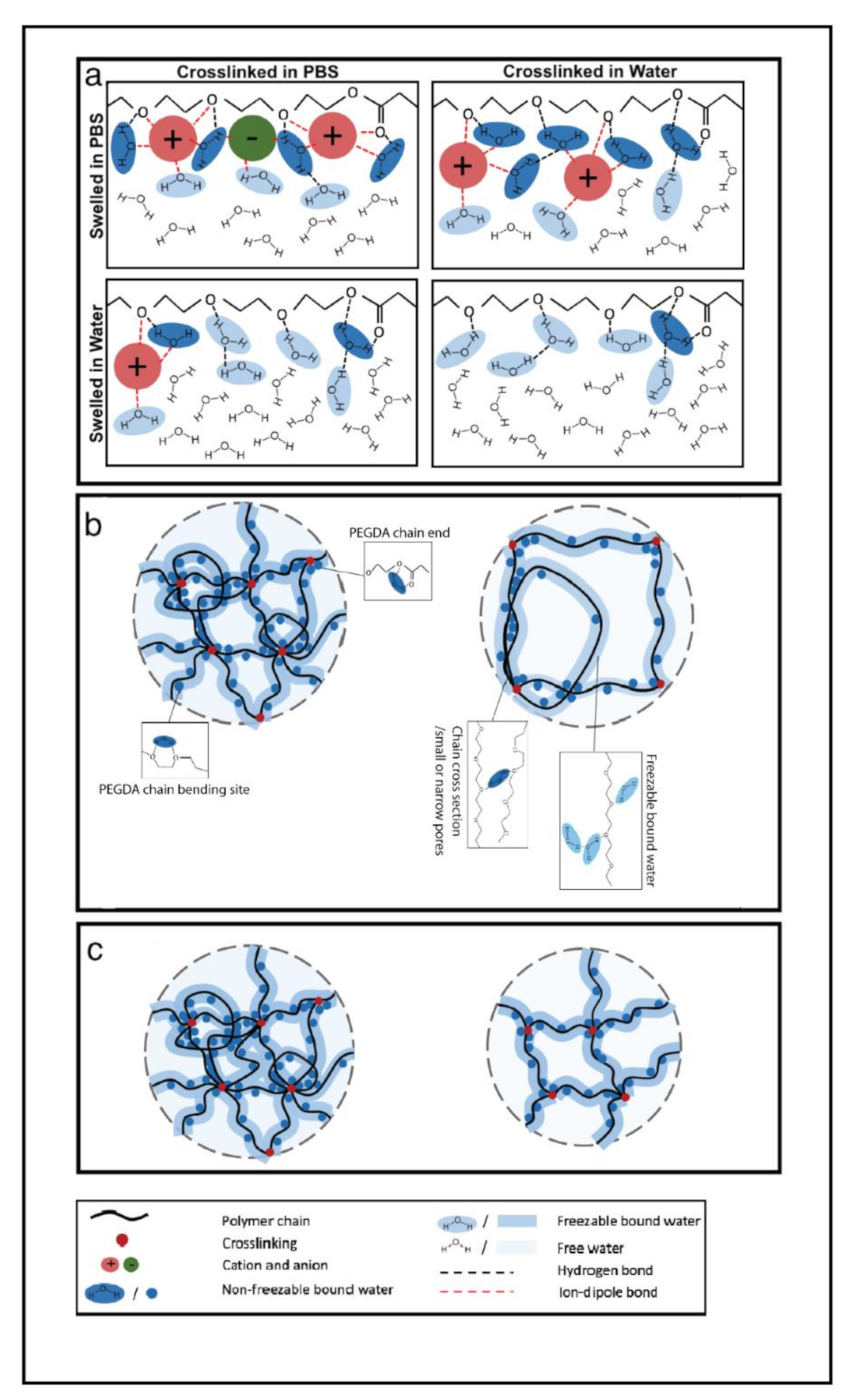 Polymers 13 00845 g005