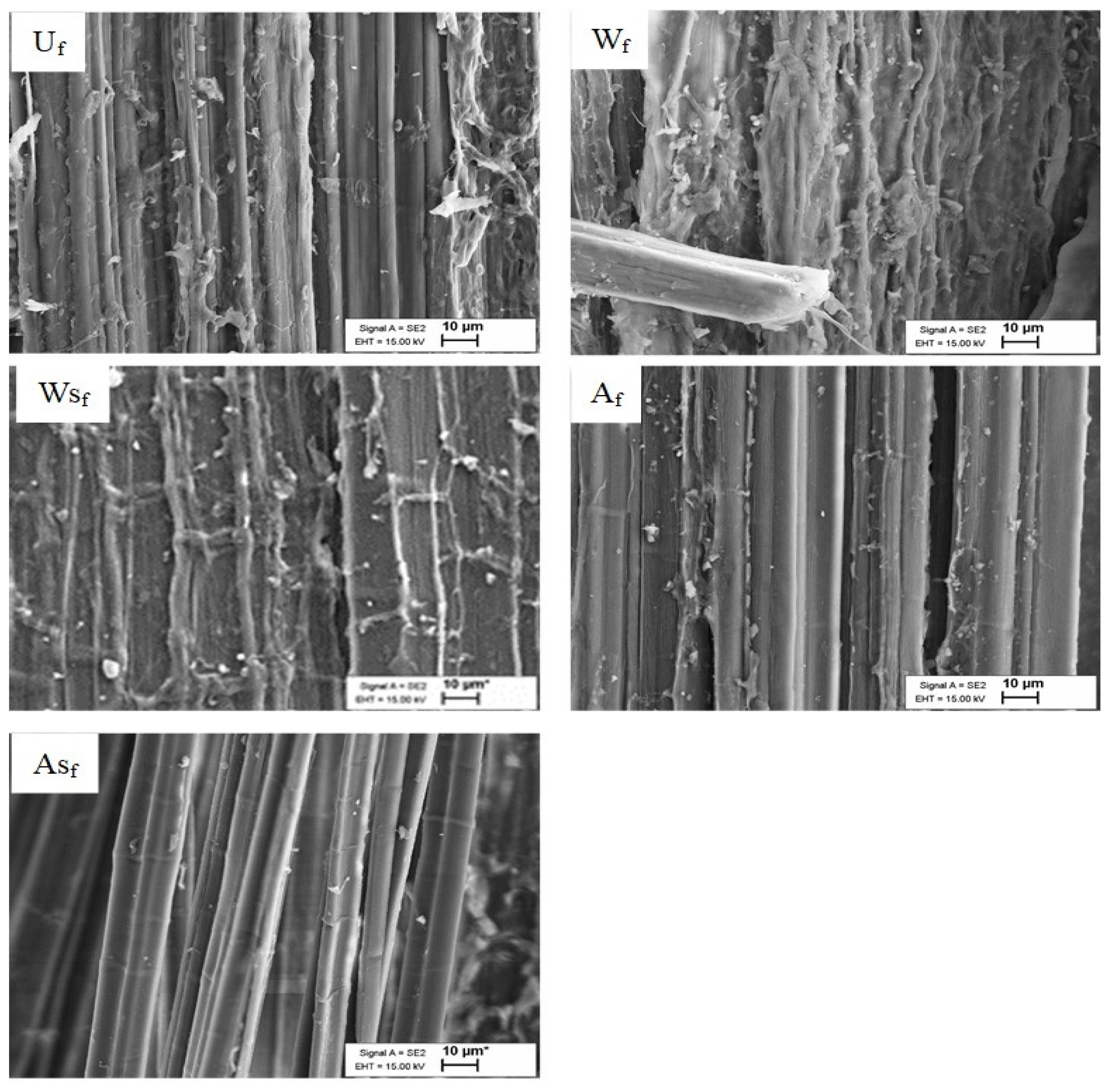 Polymers 13 00851 g006 Polymers 13 00851 g006