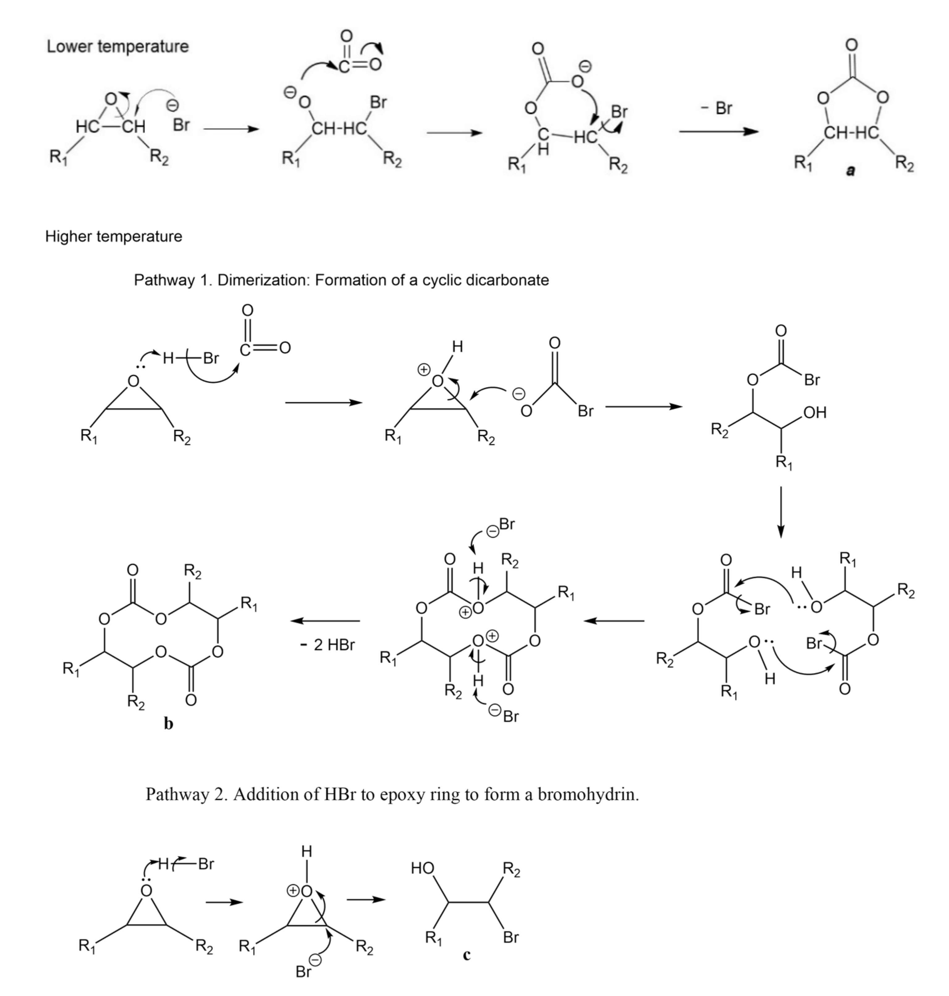 Polymers 13 00852 sch005