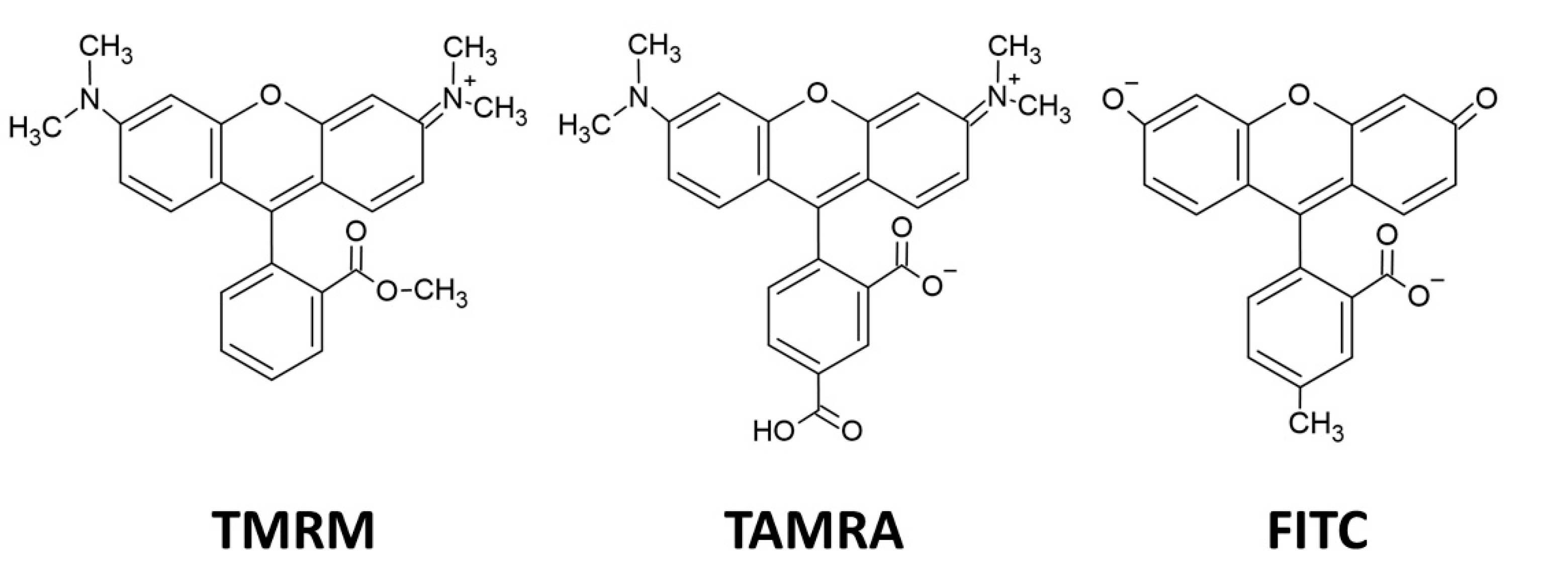 Polymers 13 00858 g001 Polymers 13 00858 g001