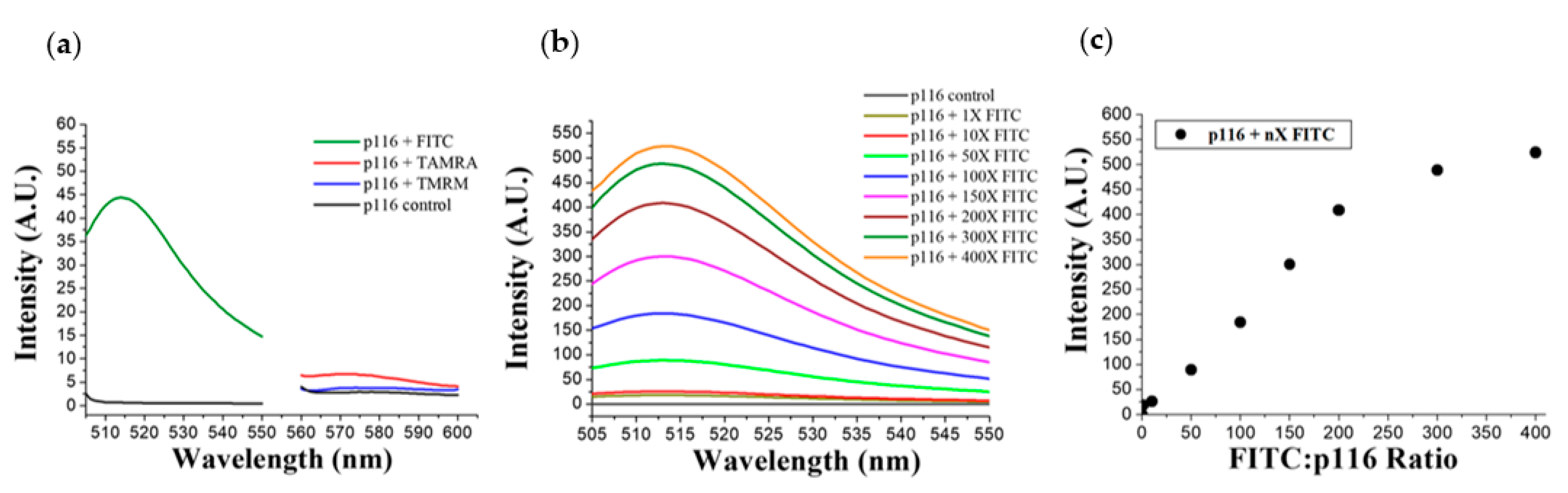 Polymers 13 00858 g002 Polymers 13 00858 g002
