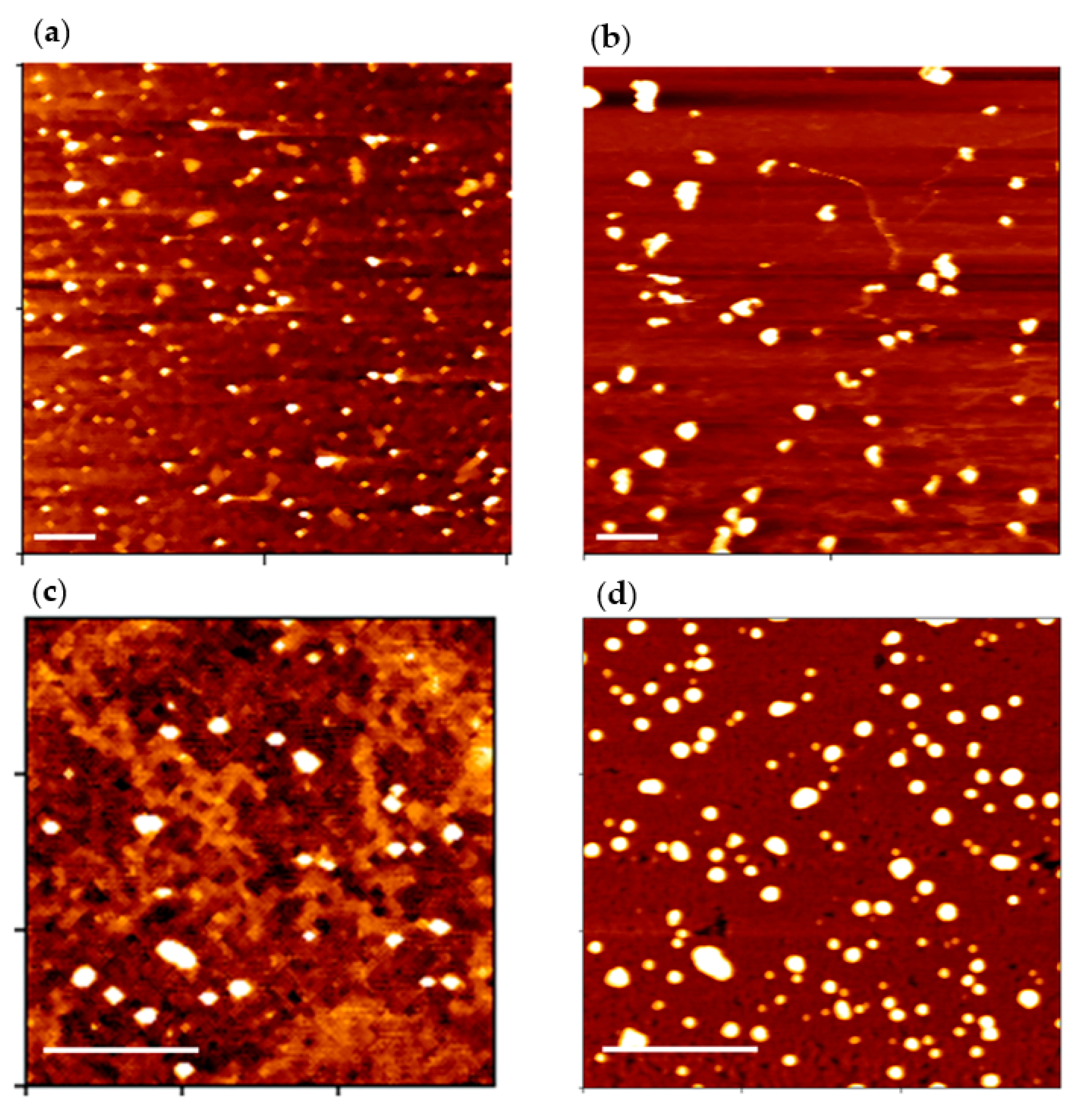 Polymers 13 00858 g005 Polymers 13 00858 g005