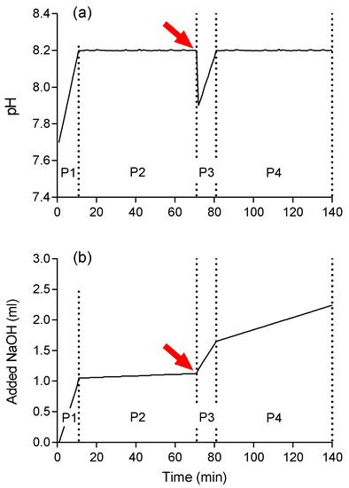 Polymers, Free Full-Text