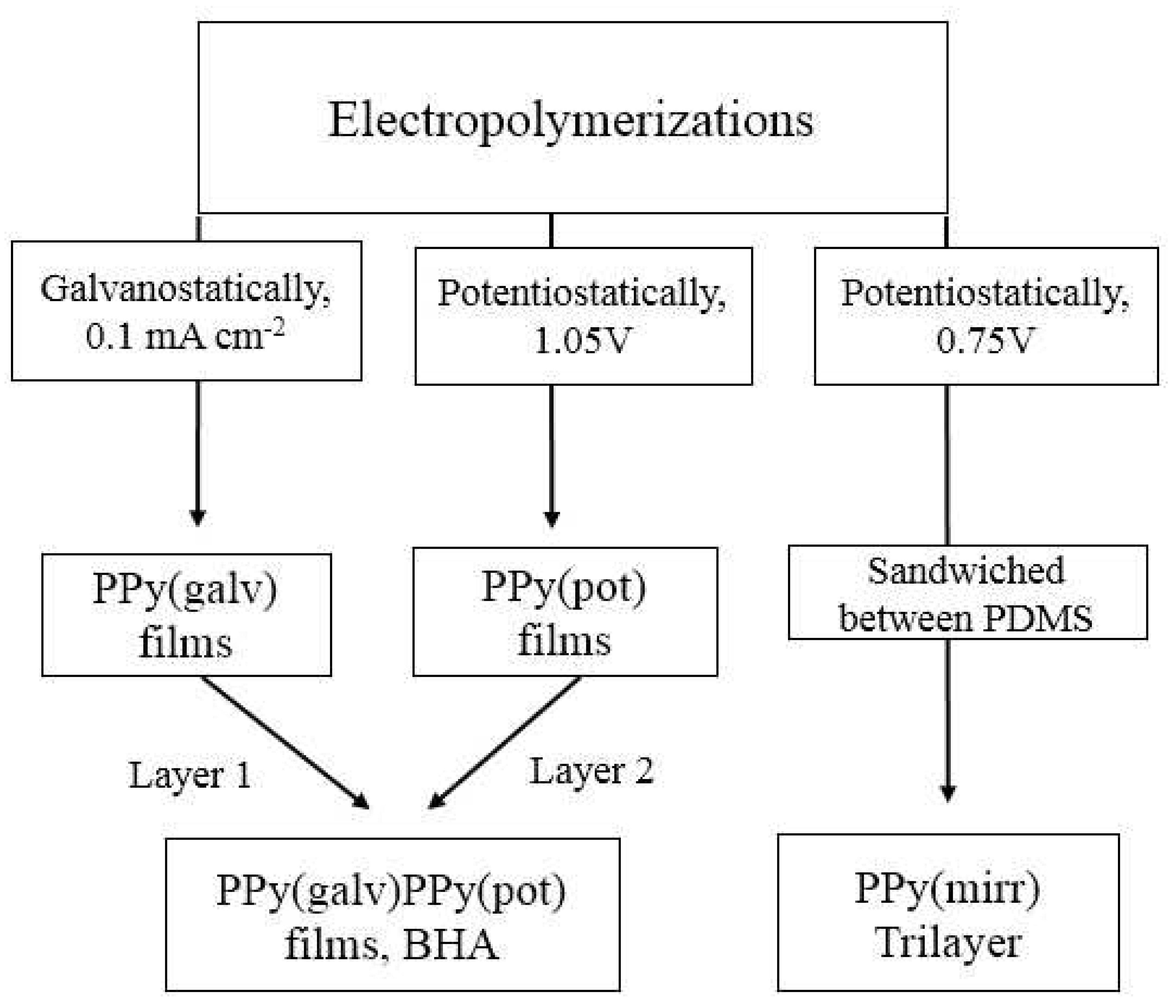 Polymers 13 00861 g001
